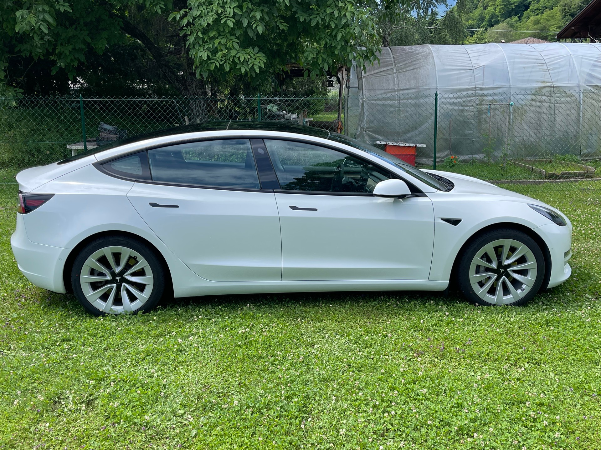 TESLA Model 3 Long Range Dual Motor AWD-image-4
