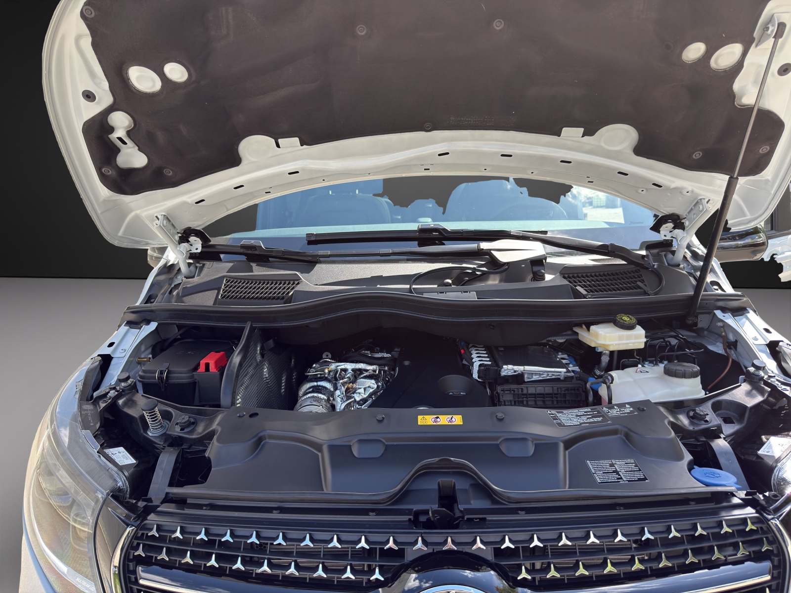 MERCEDES-BENZ Swiss Edition Exclusive-image-12