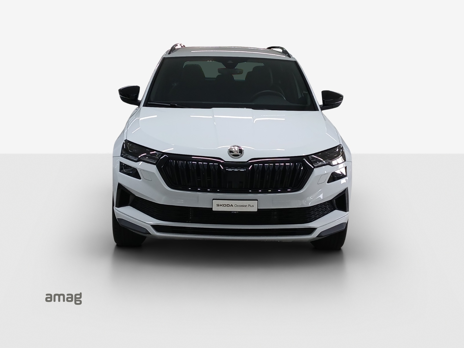 SKODA Karoq 2.0 TSI SportLine 4x4 DSG-image-6