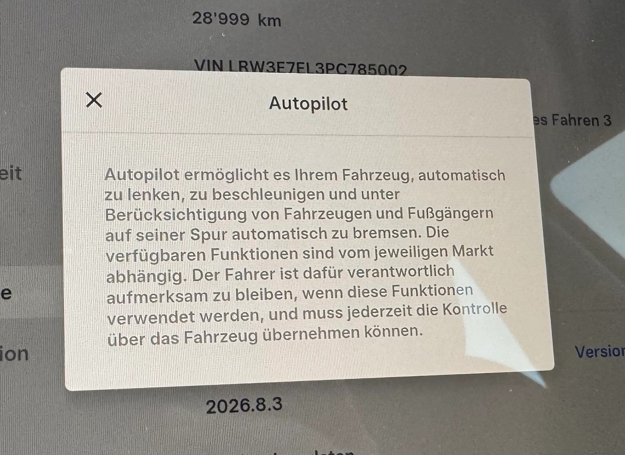 TESLA Model 3 Performance Dual Motor AWD-image-15
