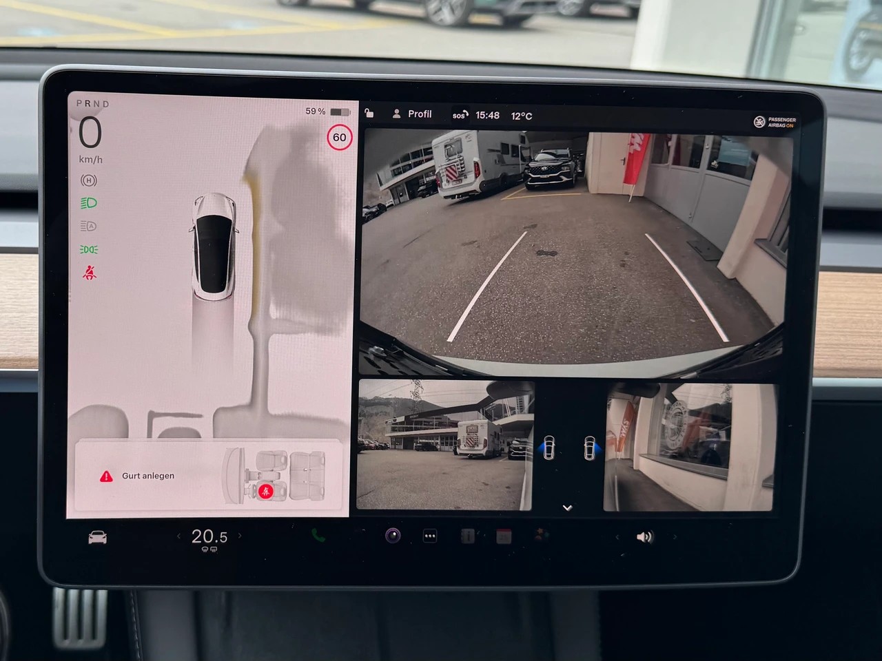 TESLA Model 3 Performance Dual Motor AWD-image-13