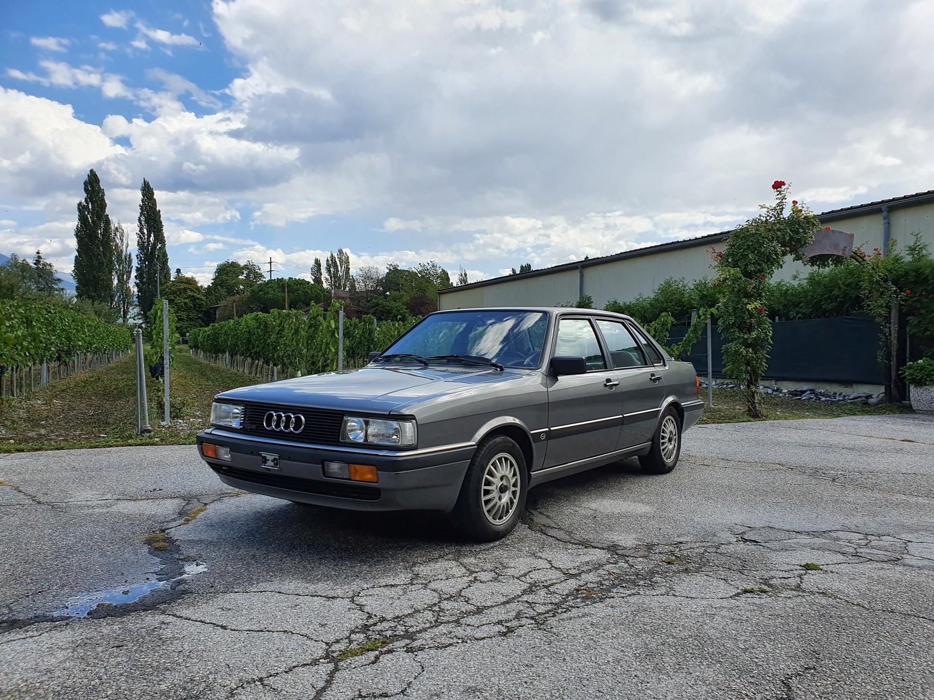 AUDI AUDI 85-90 QUATTRO-image-0