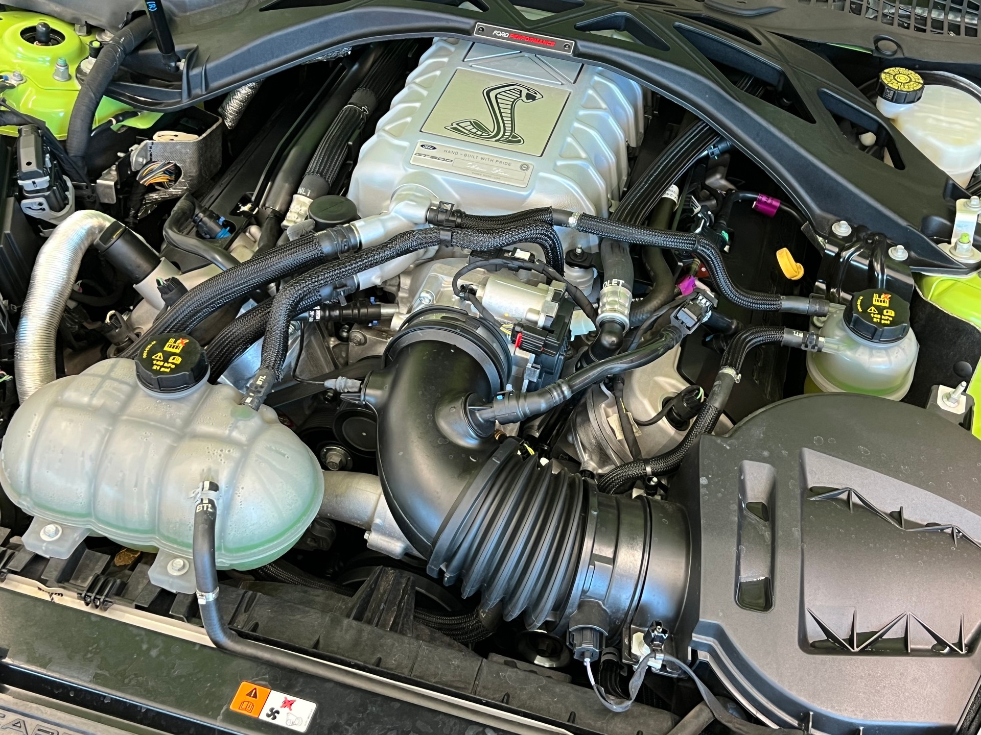 FORD Shelby GT 500-image-11