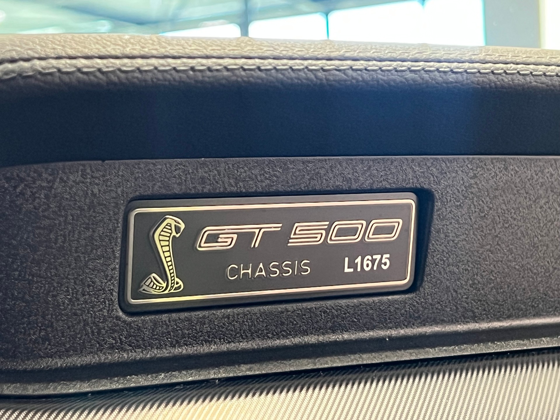 FORD Shelby GT 500-image-26