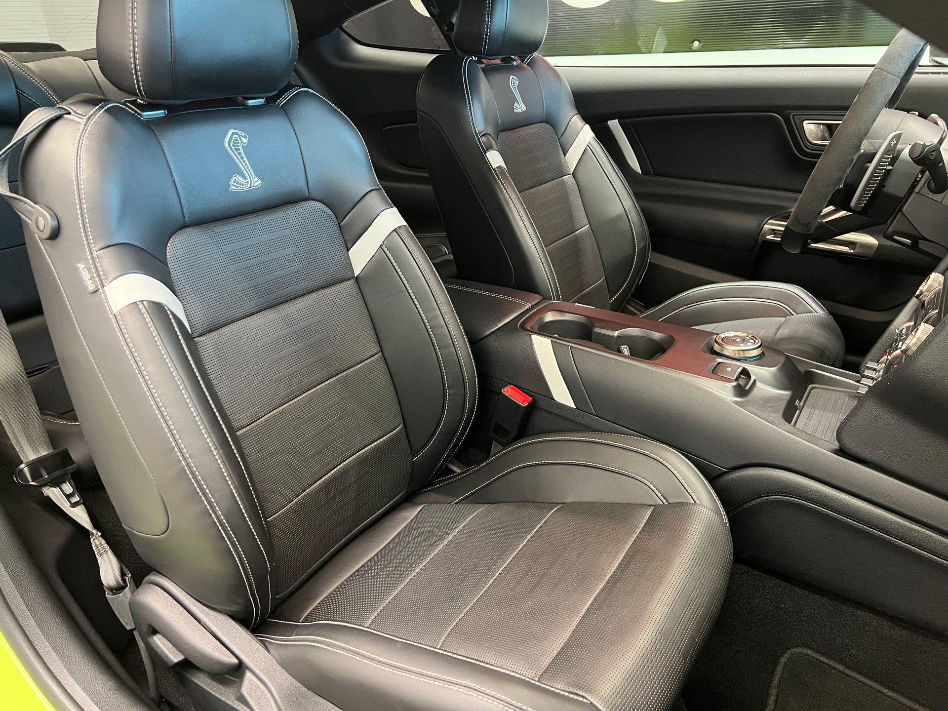 FORD Shelby GT 500-image-21