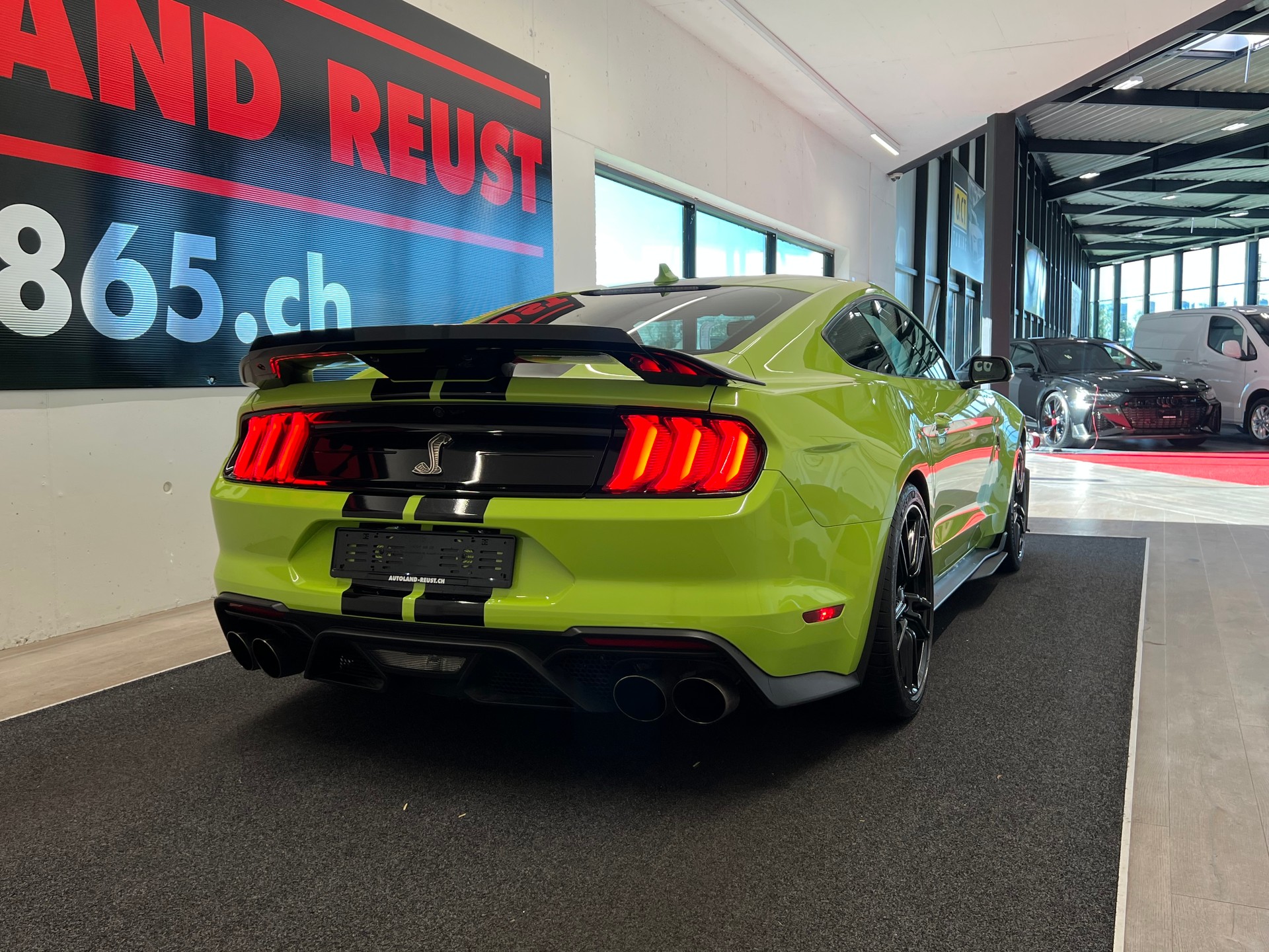 FORD Shelby GT 500-image-6