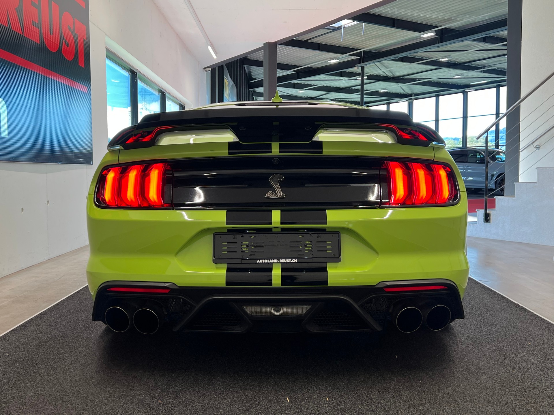 FORD Shelby GT 500-image-7