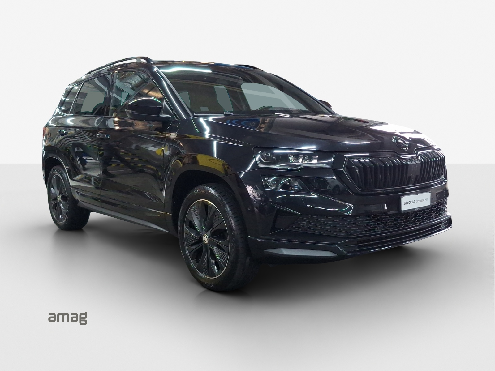 SKODA Karoq 2.0 TSI SportLine 4x4 DSG-image-6