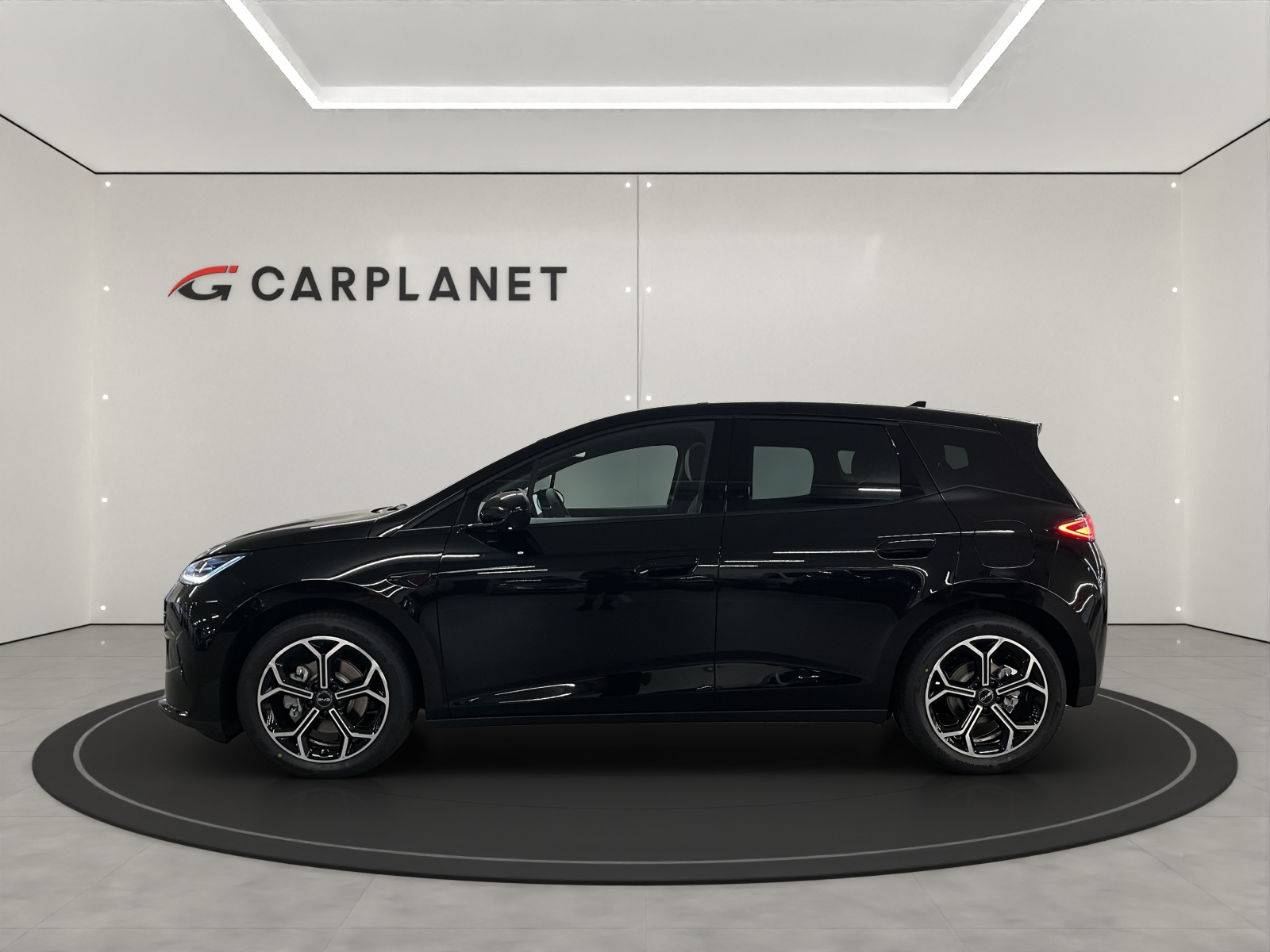 BYD Dolphin G DM-i Comfort-showroom-element-2