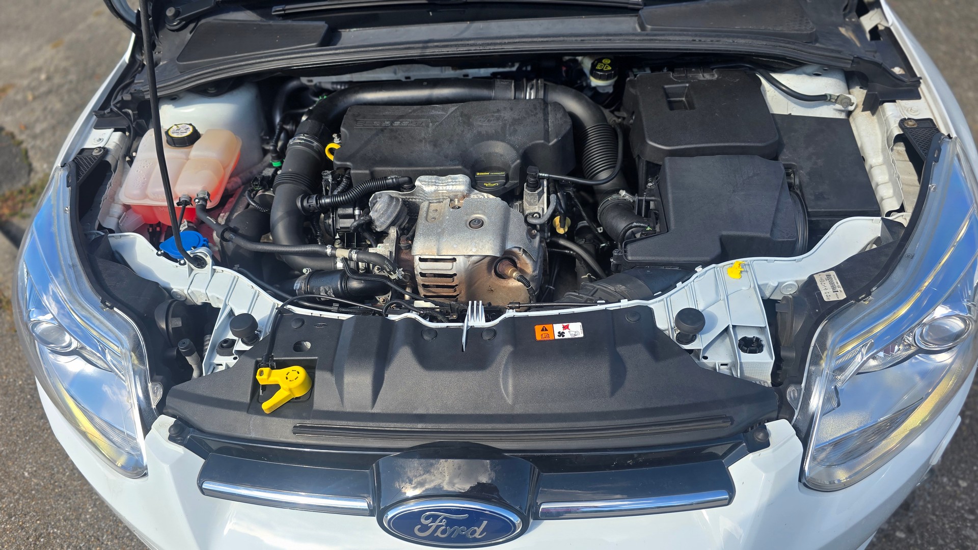 FORD Focus 1.0 SCTi Titanium-image-5