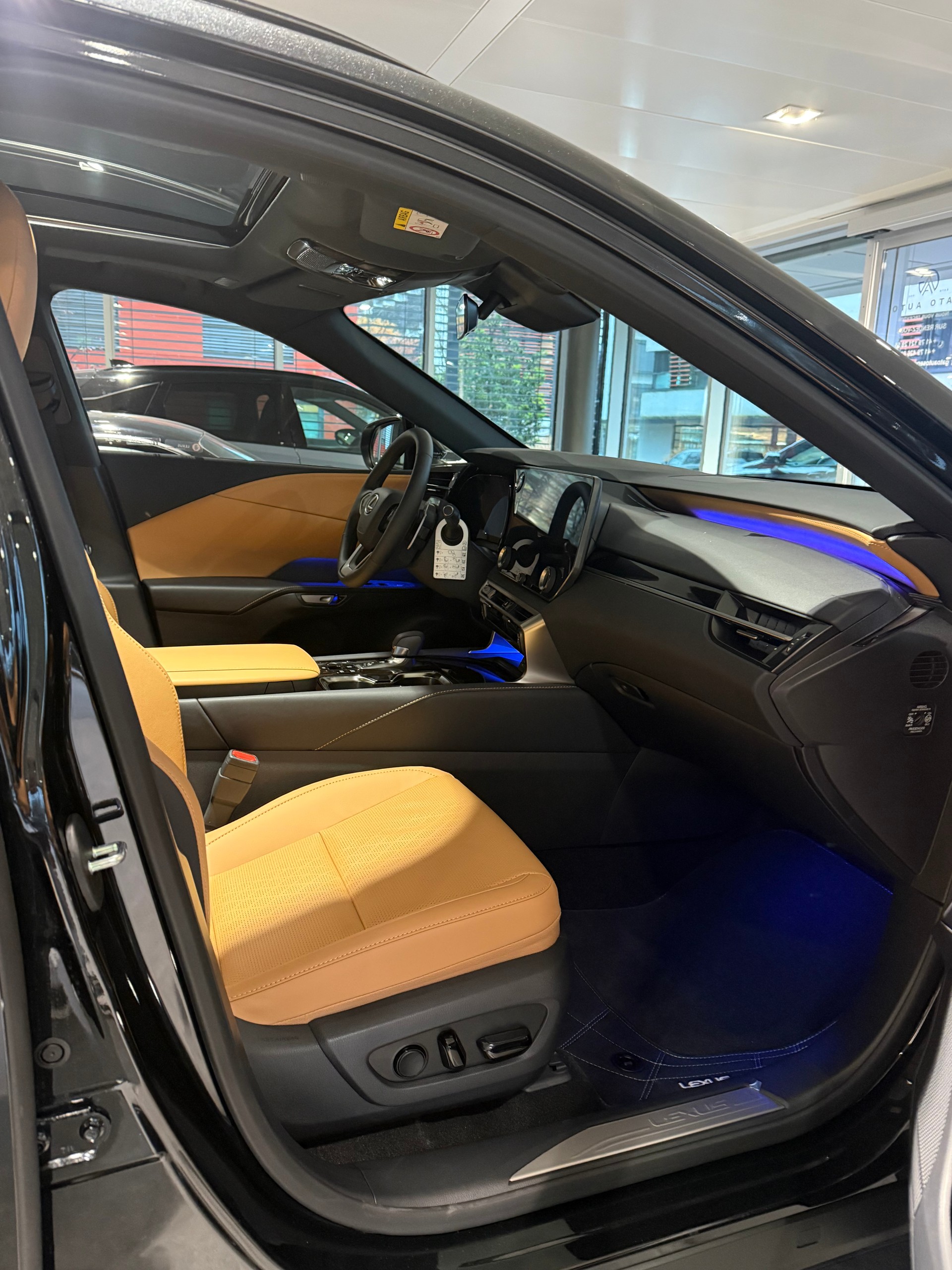 LEXUS RX 450h+ F Line AWD CVT-image-8