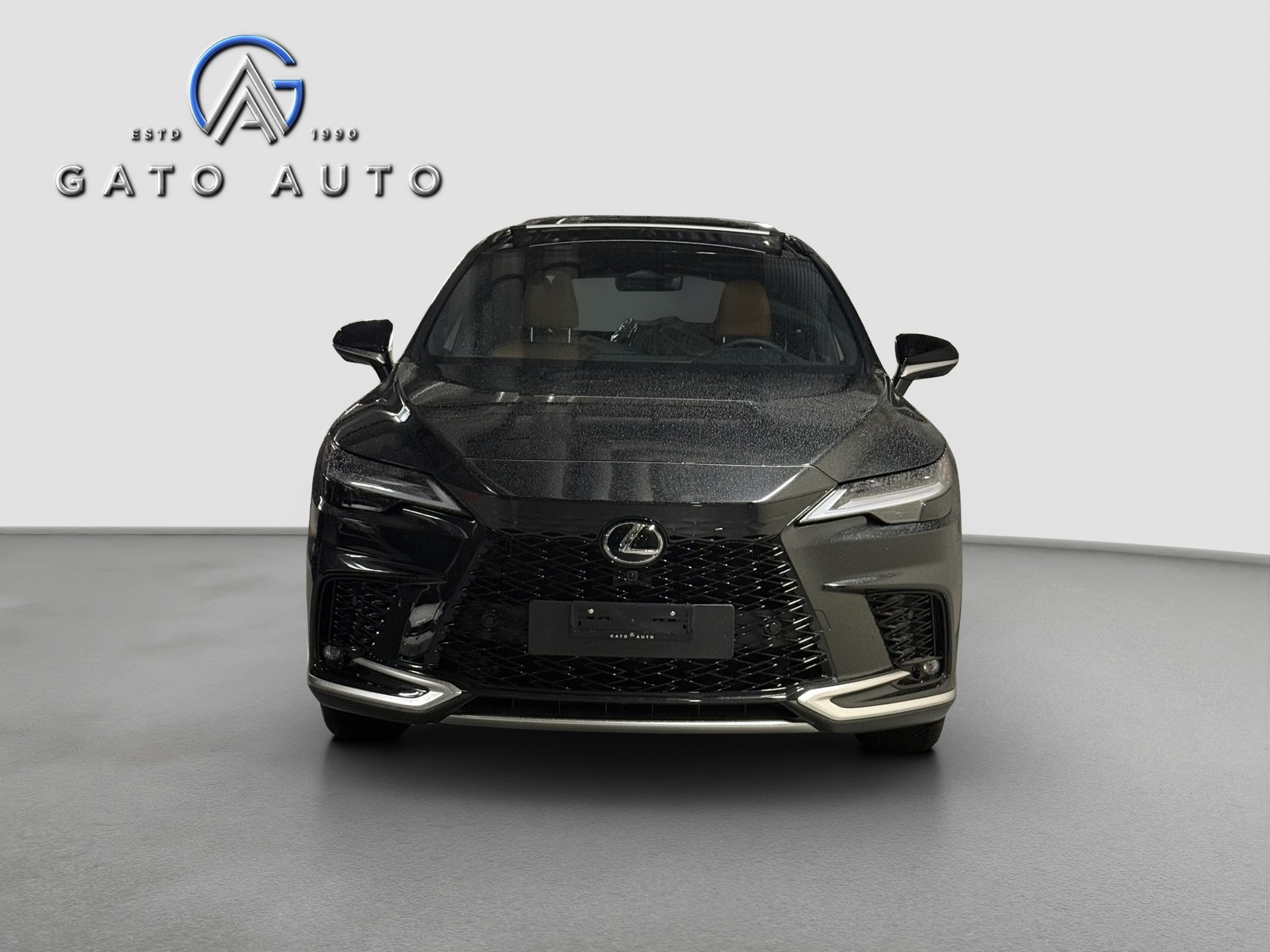 LEXUS RX 450h+ F Line AWD CVT-showroom-element-2