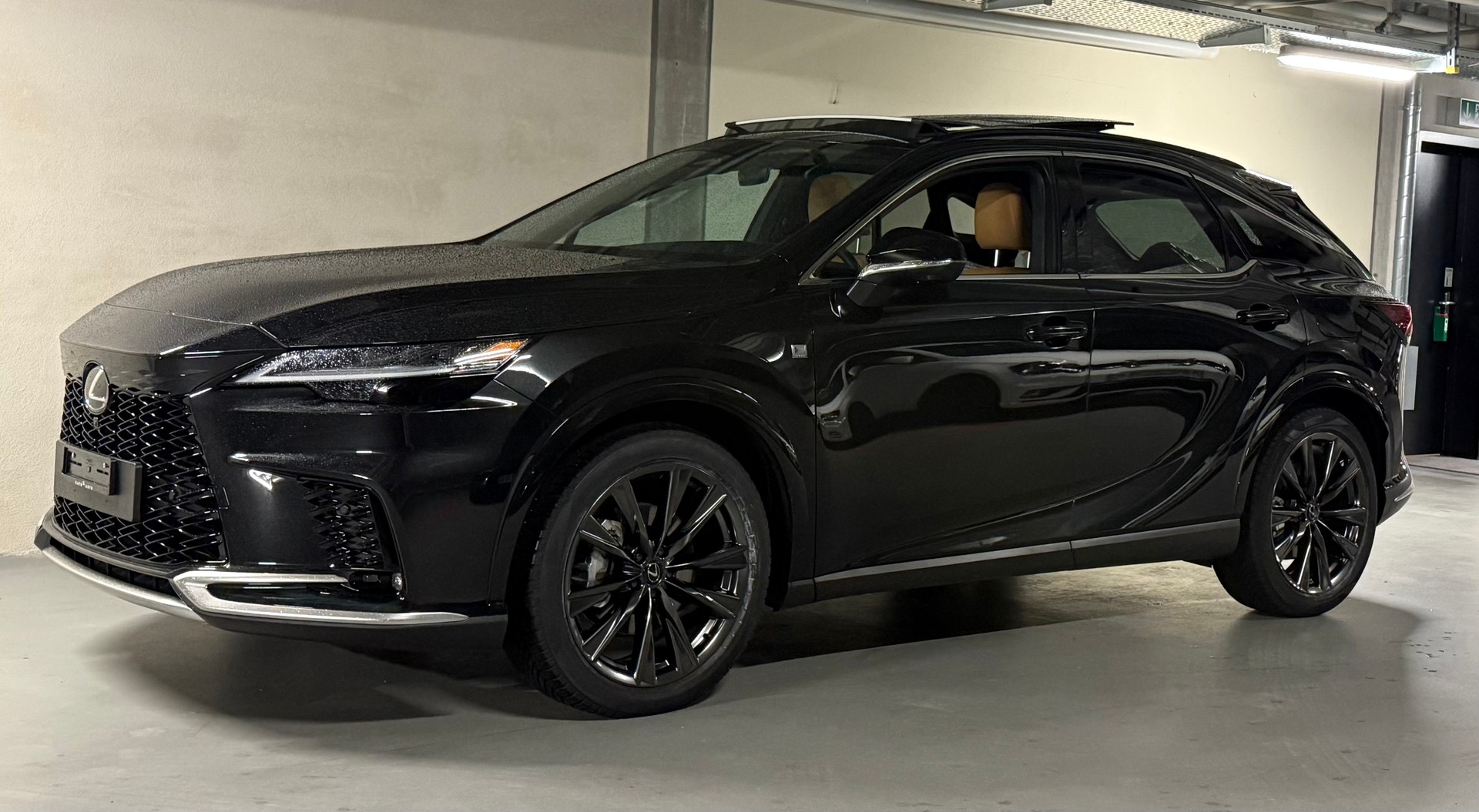 LEXUS RX 450h+ F Line AWD CVT-image-4