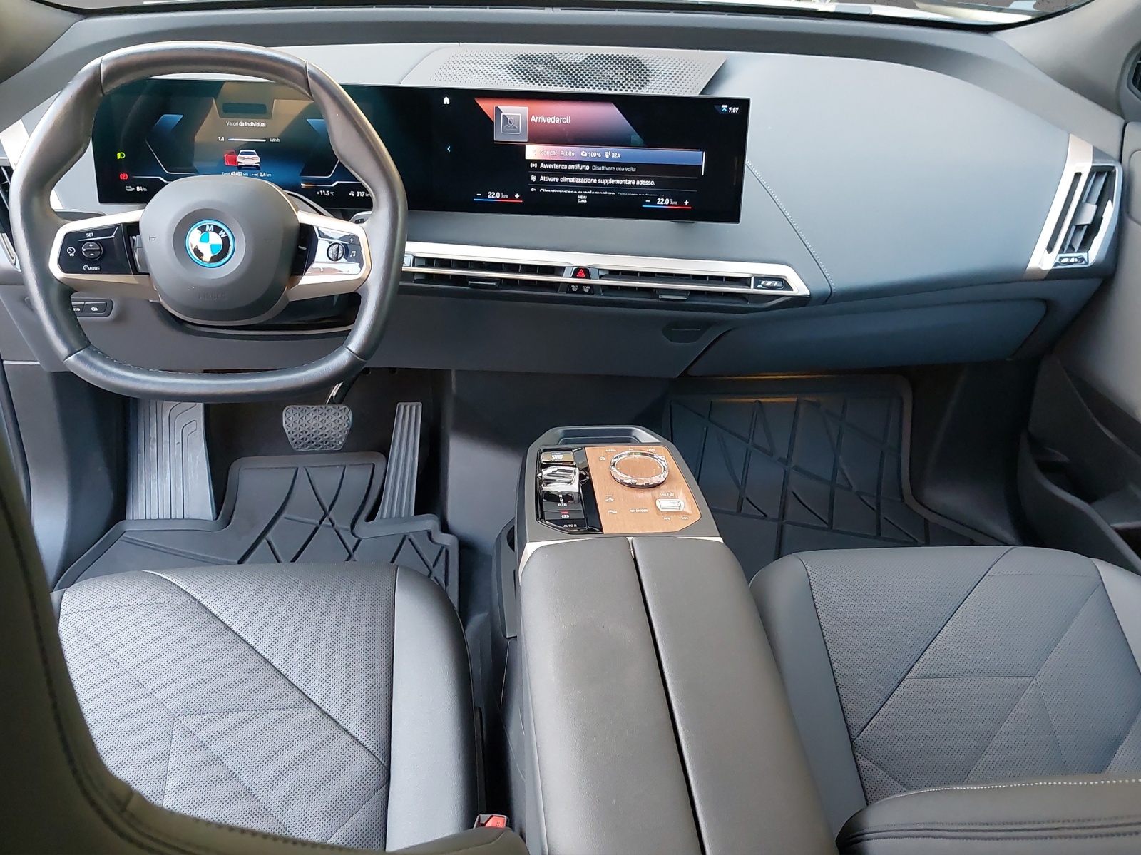 BMW iX xDrive40 Launch Edition-image-13