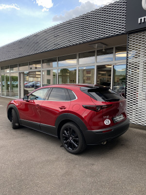 MAZDA CX-30 X 186 Homura AWD-image-1