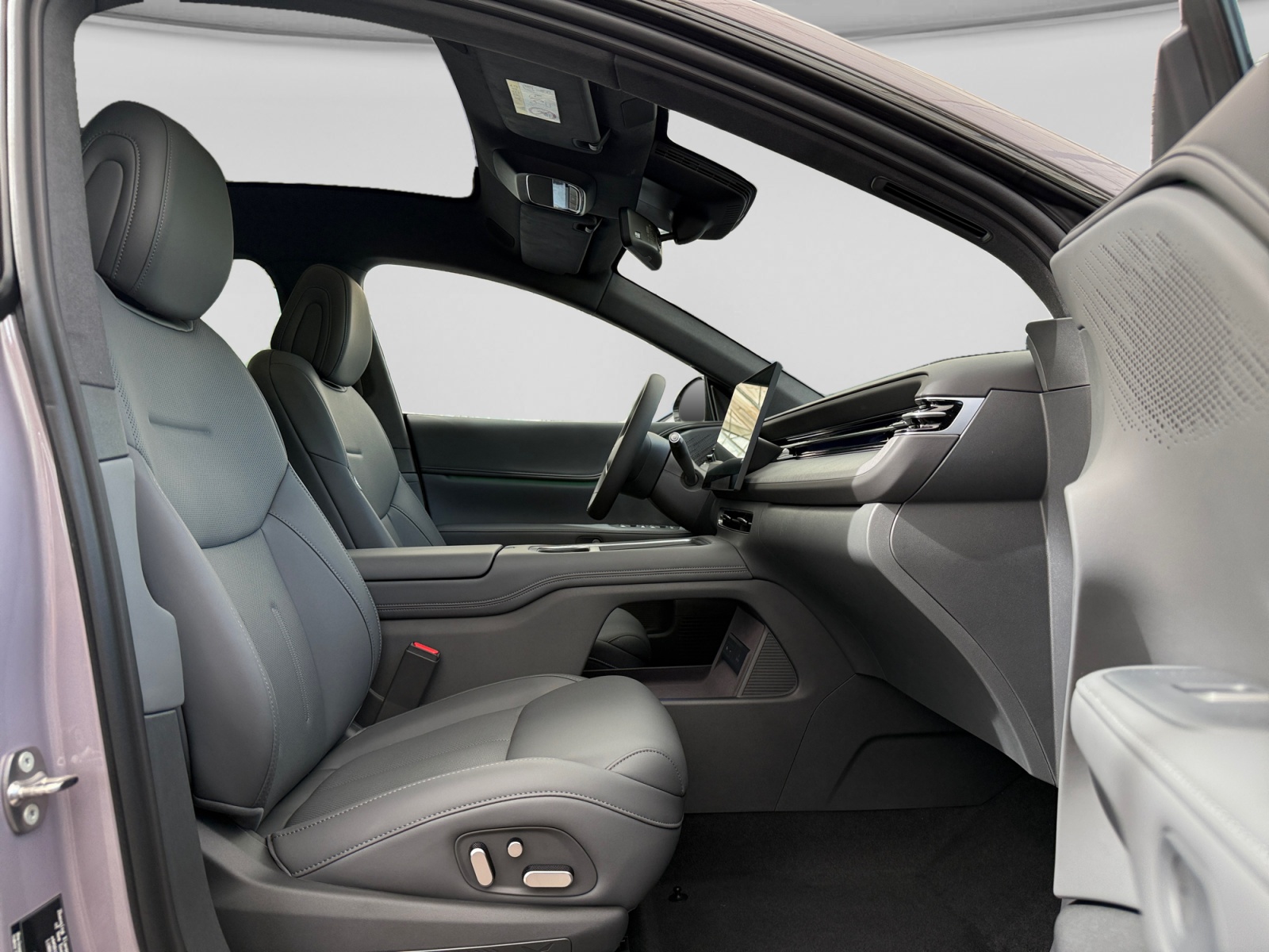 XPENG G6 Performance AWD mit AHK-image-16