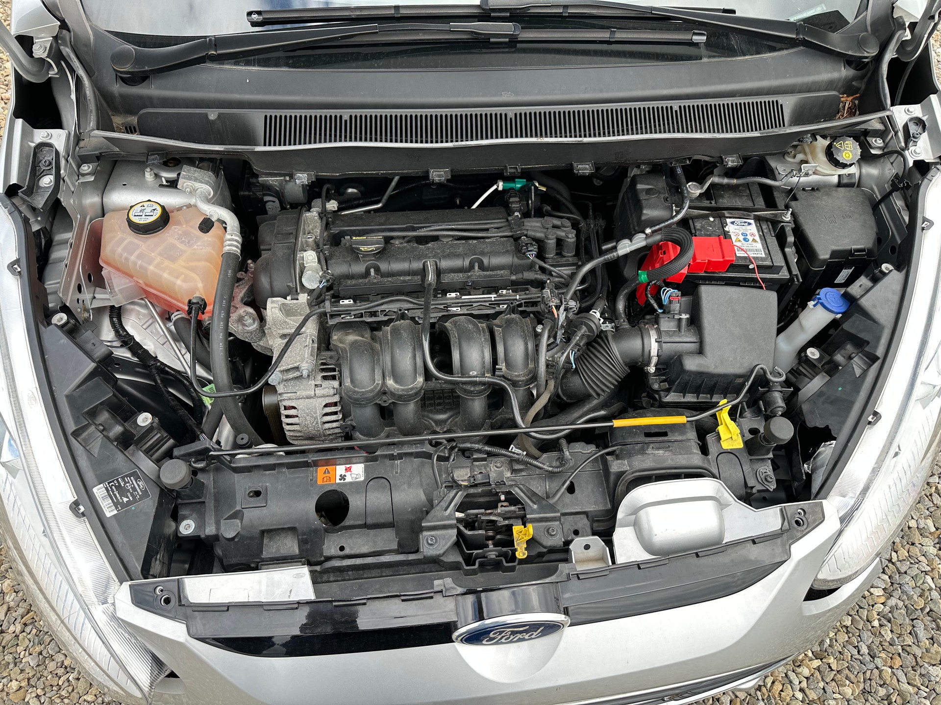 FORD B-Max 1.6 Ti-VCT Freetech PowerShift-image-8