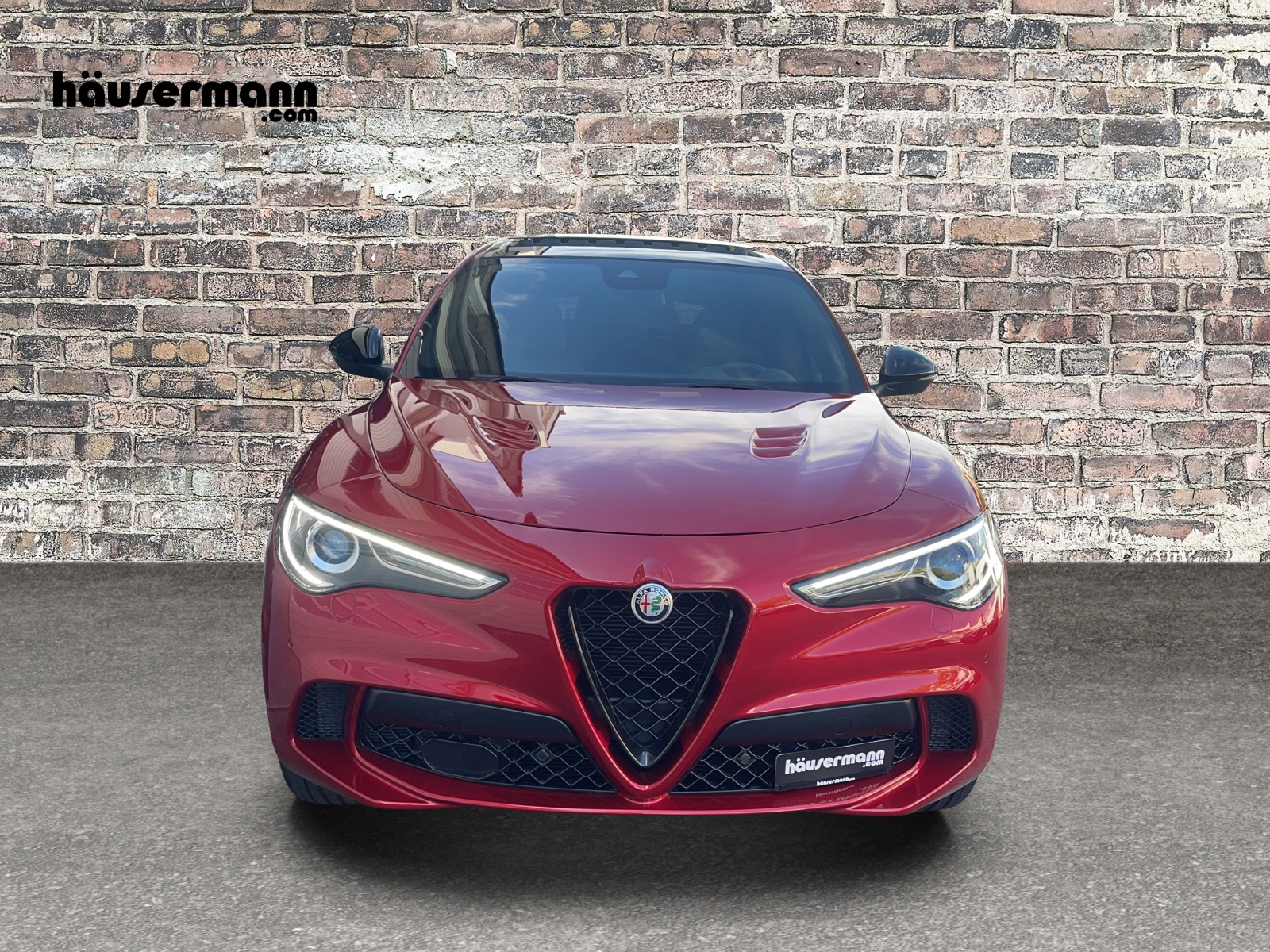 ALFA ROMEO Stelvio 2.9 V6 Biturbo Q4 Quadrifoglio-showroom-element-2