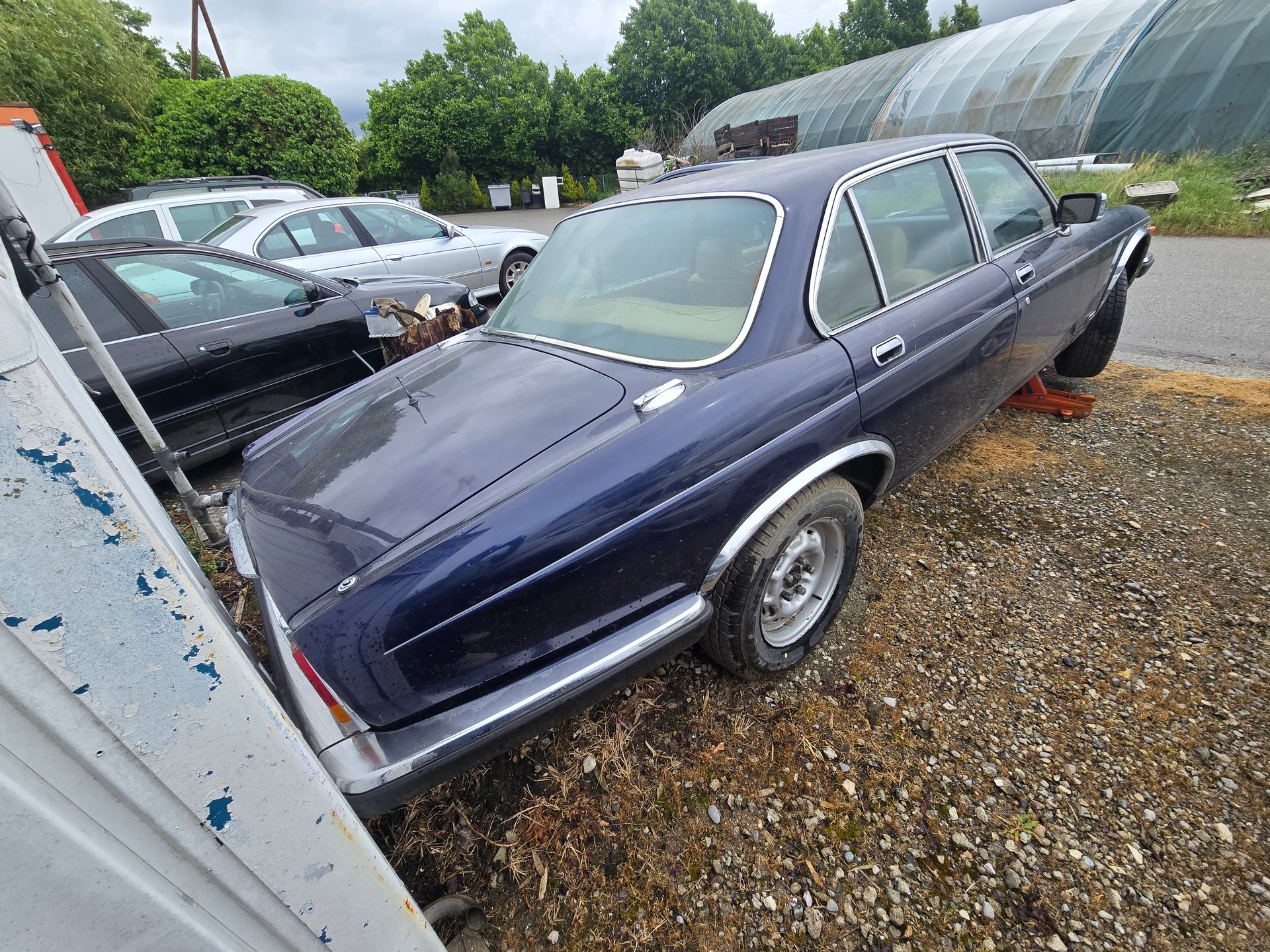 JAGUAR XJ6 4.2 Swiss-image-5