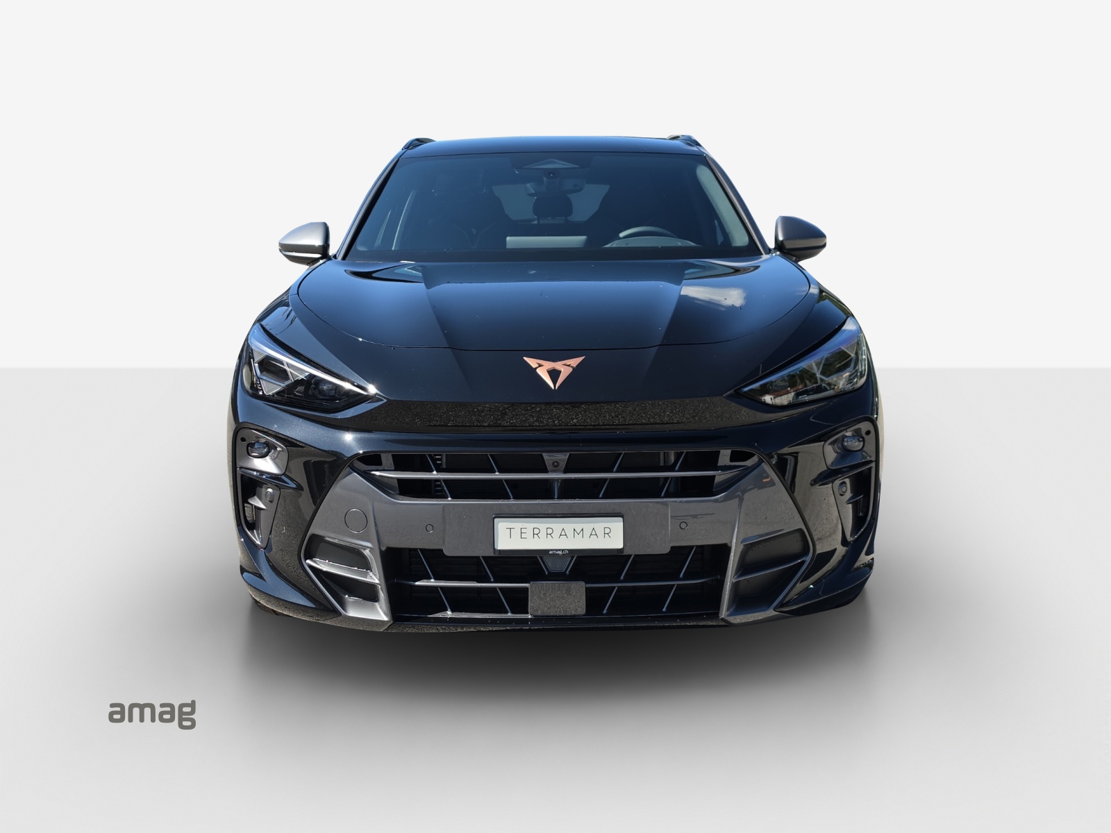 CUPRA CUPRA Terramar PE 2.0TSI 204 4-image-6