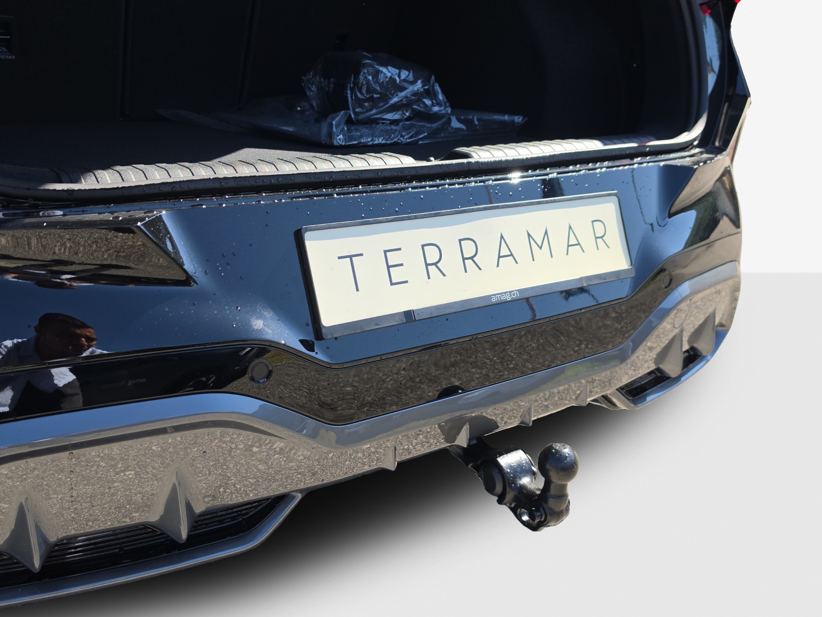 CUPRA CUPRA Terramar PE 2.0TSI 204 4-image-15
