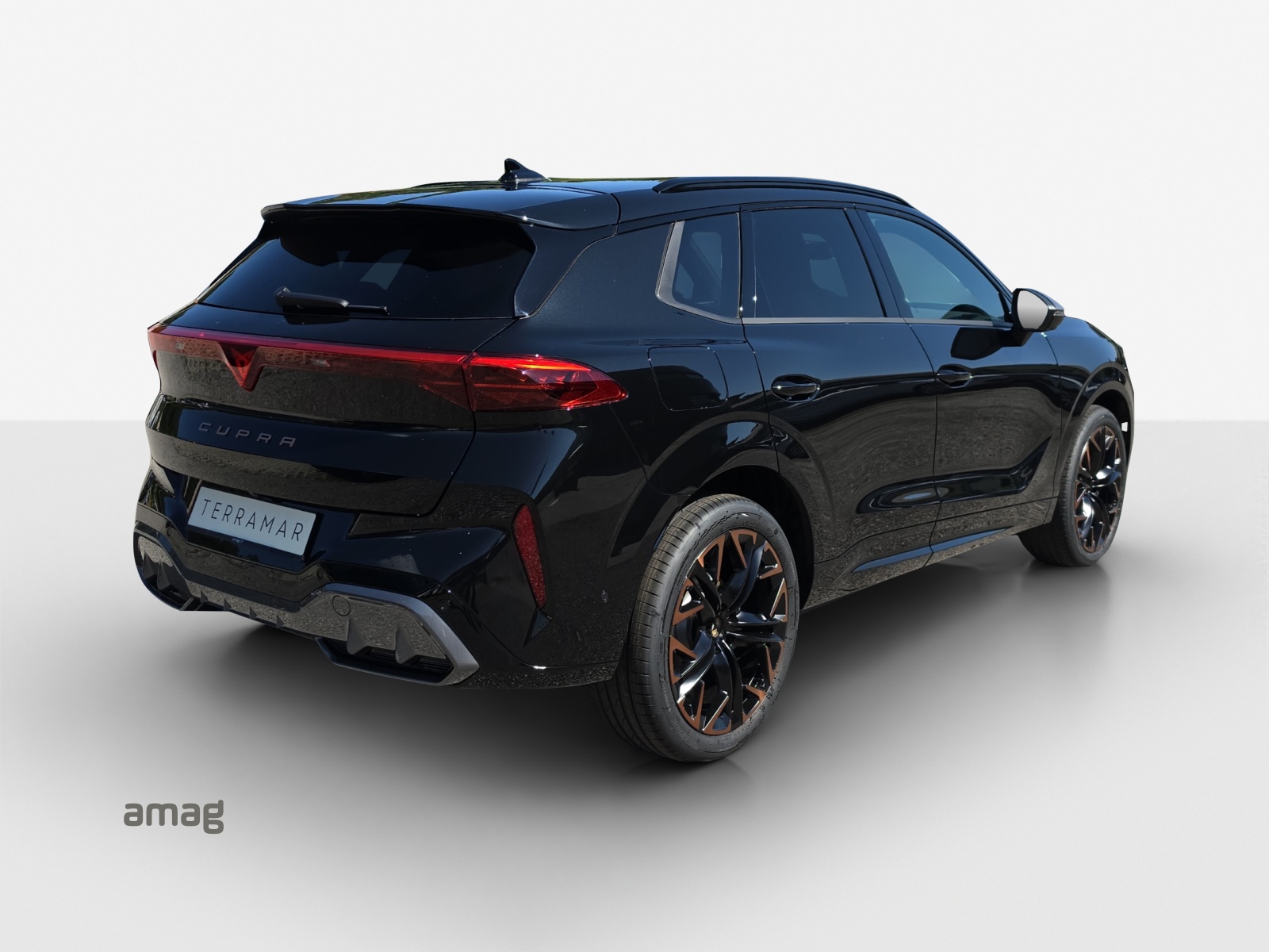 CUPRA CUPRA Terramar PE 2.0TSI 204 4-image-4