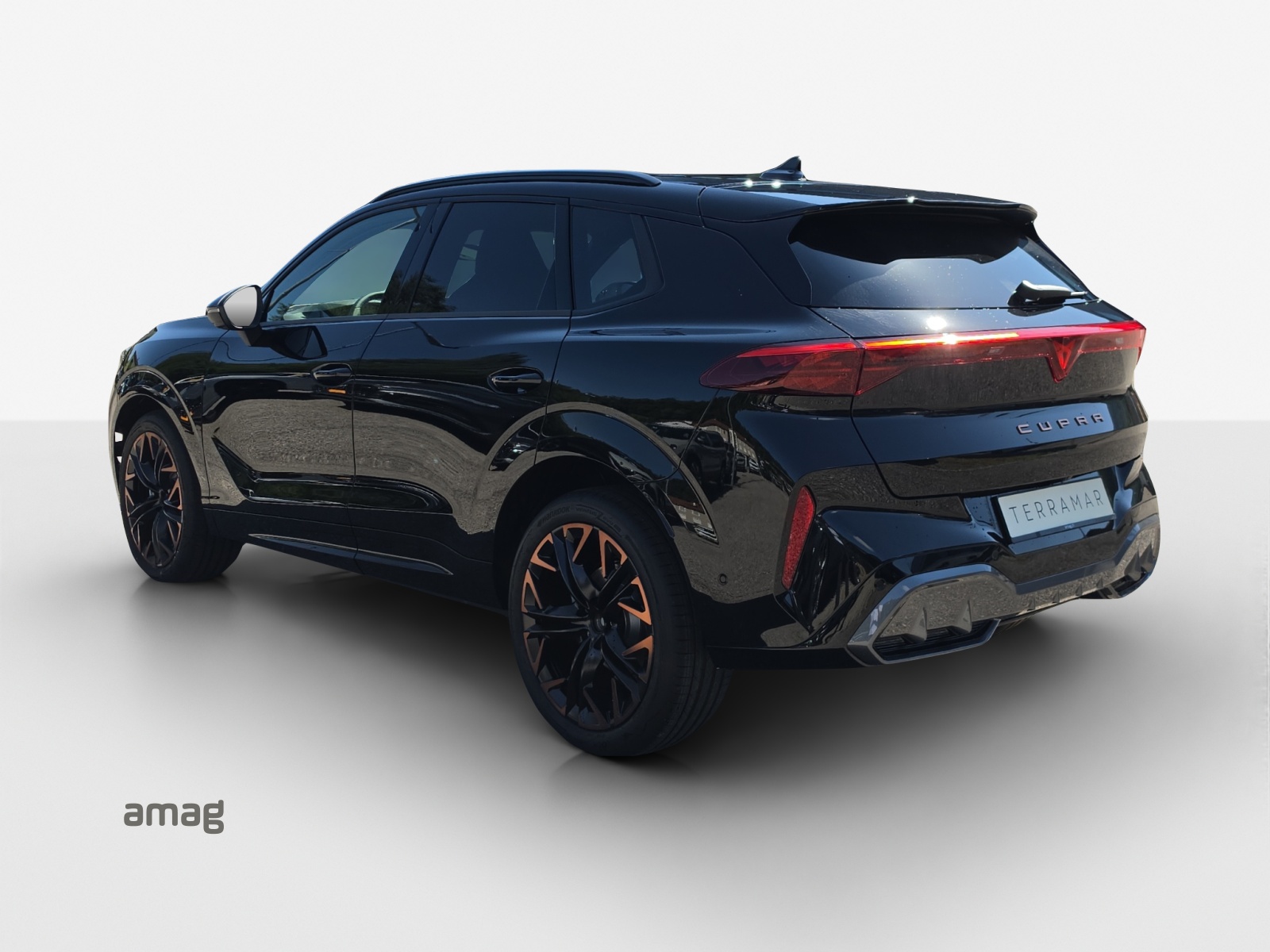 CUPRA CUPRA Terramar PE 2.0TSI 204 4-image-2