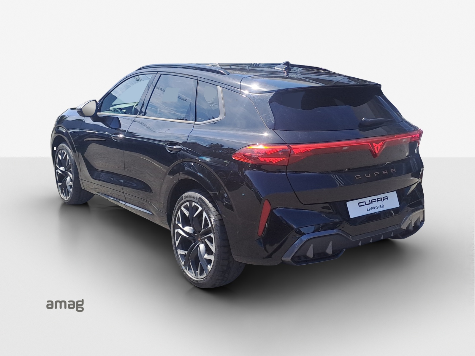 CUPRA Terramar 2.0 TSI DSG 4Drive VZ-image-2