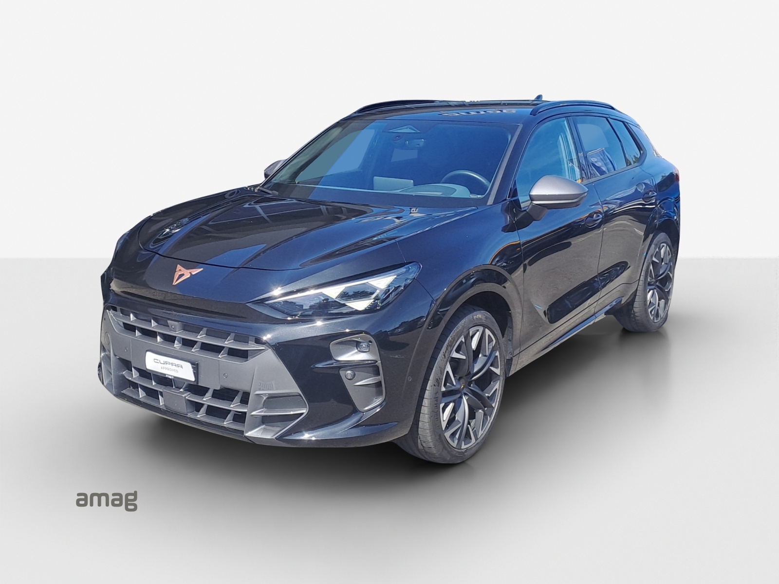 CUPRA Terramar 2.0 TSI DSG 4Drive VZ-image-0