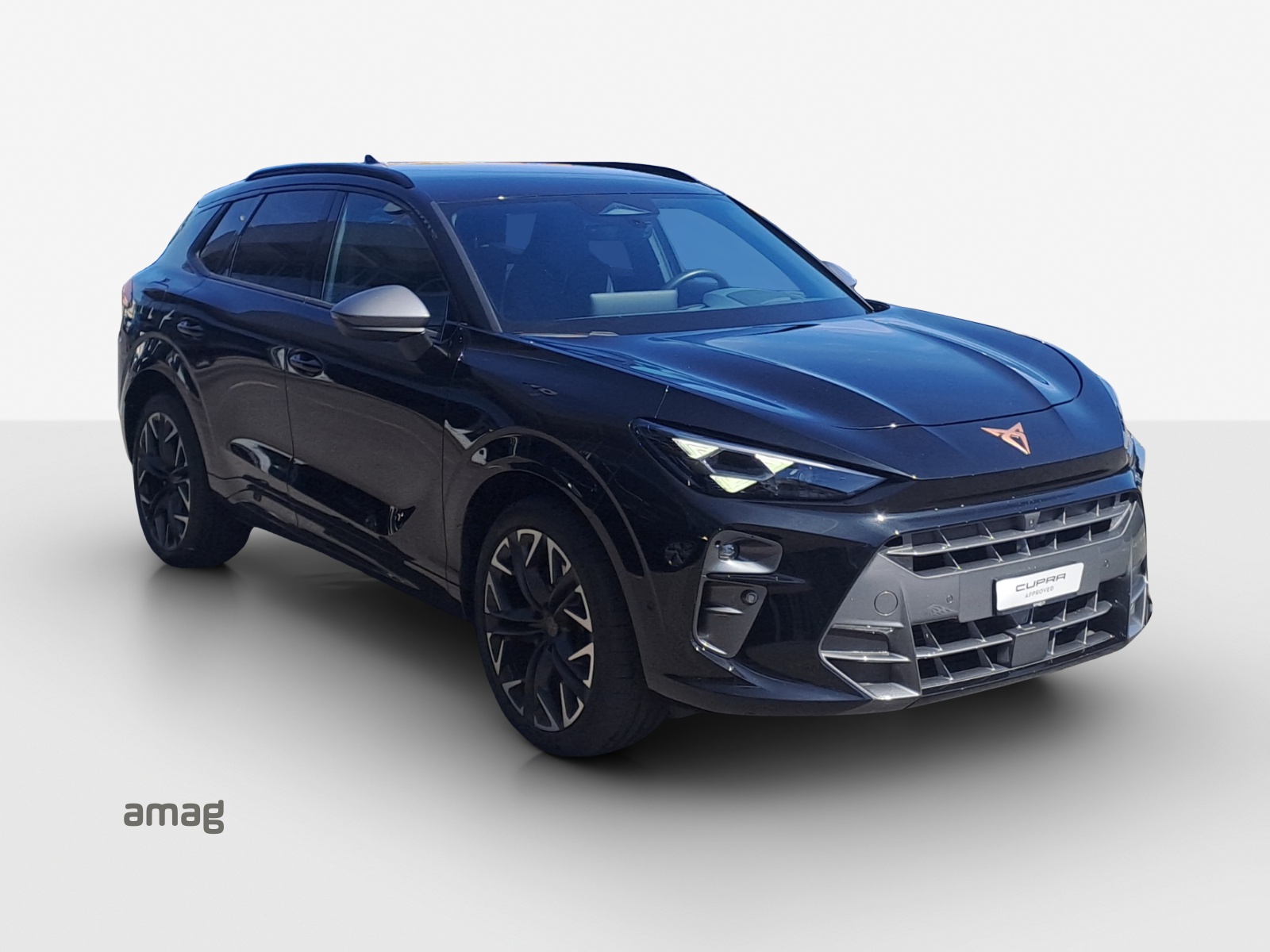 CUPRA Terramar 2.0 TSI DSG 4Drive VZ-image-5