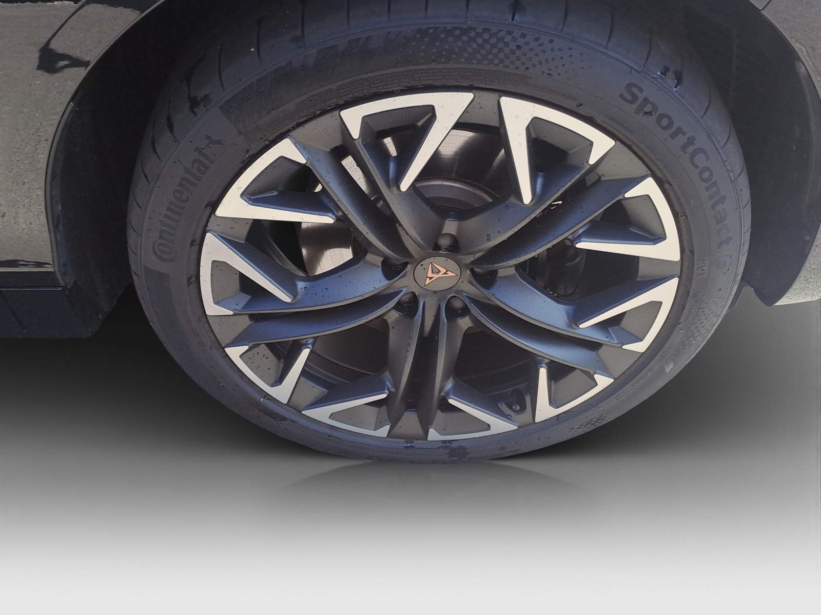 CUPRA Terramar 2.0 TSI DSG 4Drive VZ-image-14