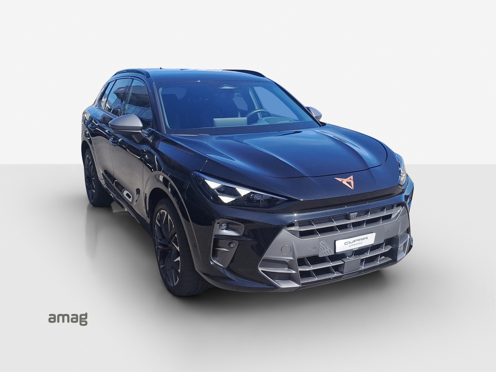 CUPRA Terramar 2.0 TSI DSG 4Drive VZ-image-15