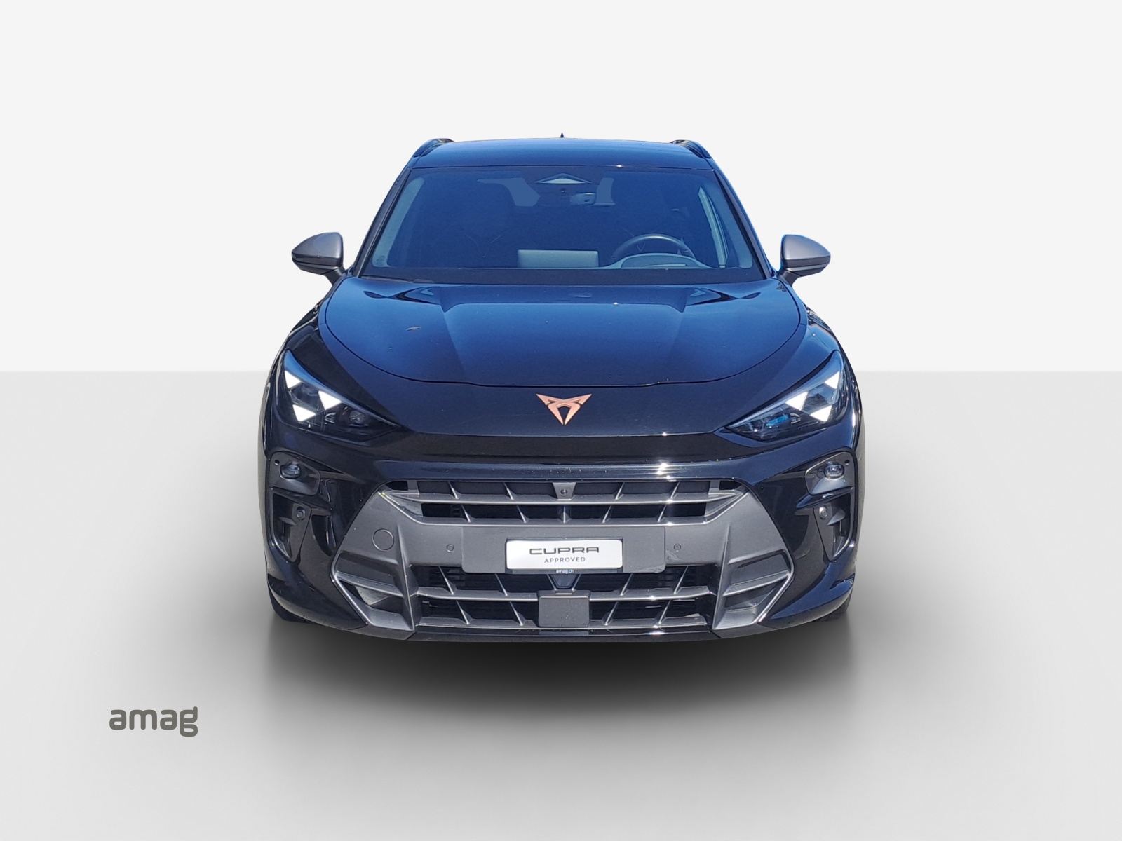 CUPRA Terramar 2.0 TSI DSG 4Drive VZ-image-6