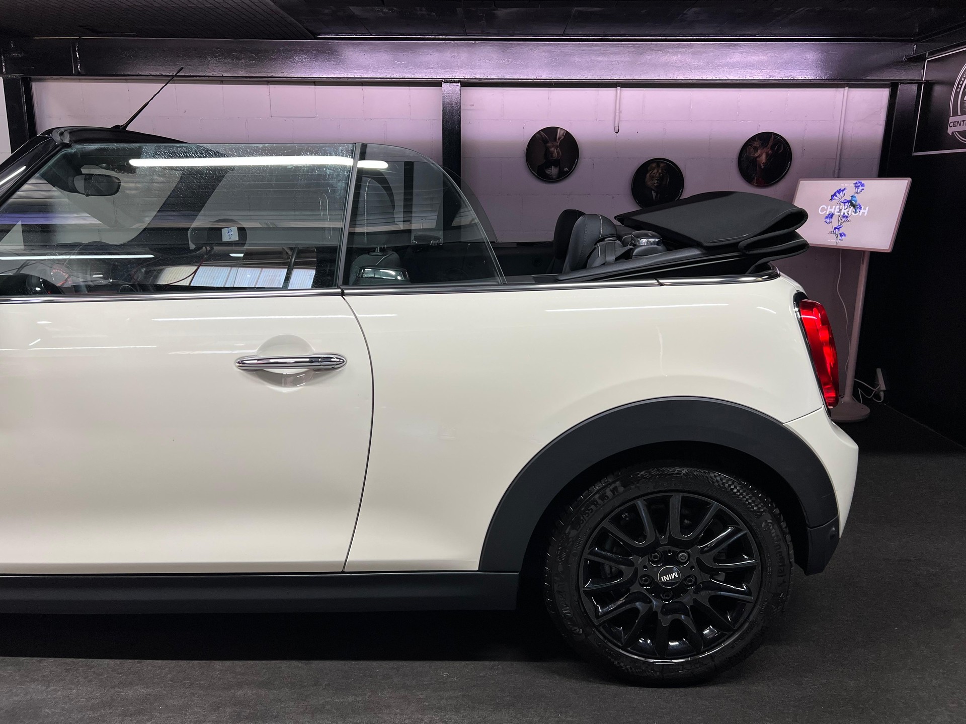 MINI Cooper Brighton Cabriolet-image-6