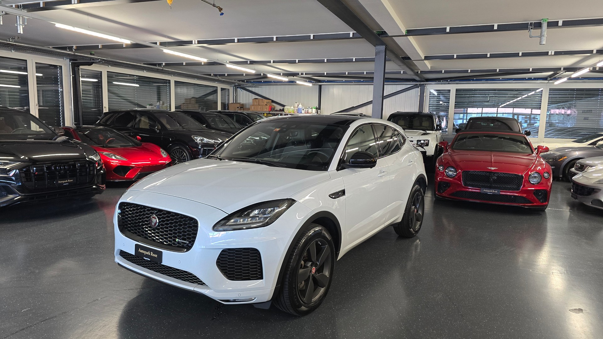 JAGUAR E-Pace 2.0 P250 R Dynamic SE AWD Automatik-image-13
