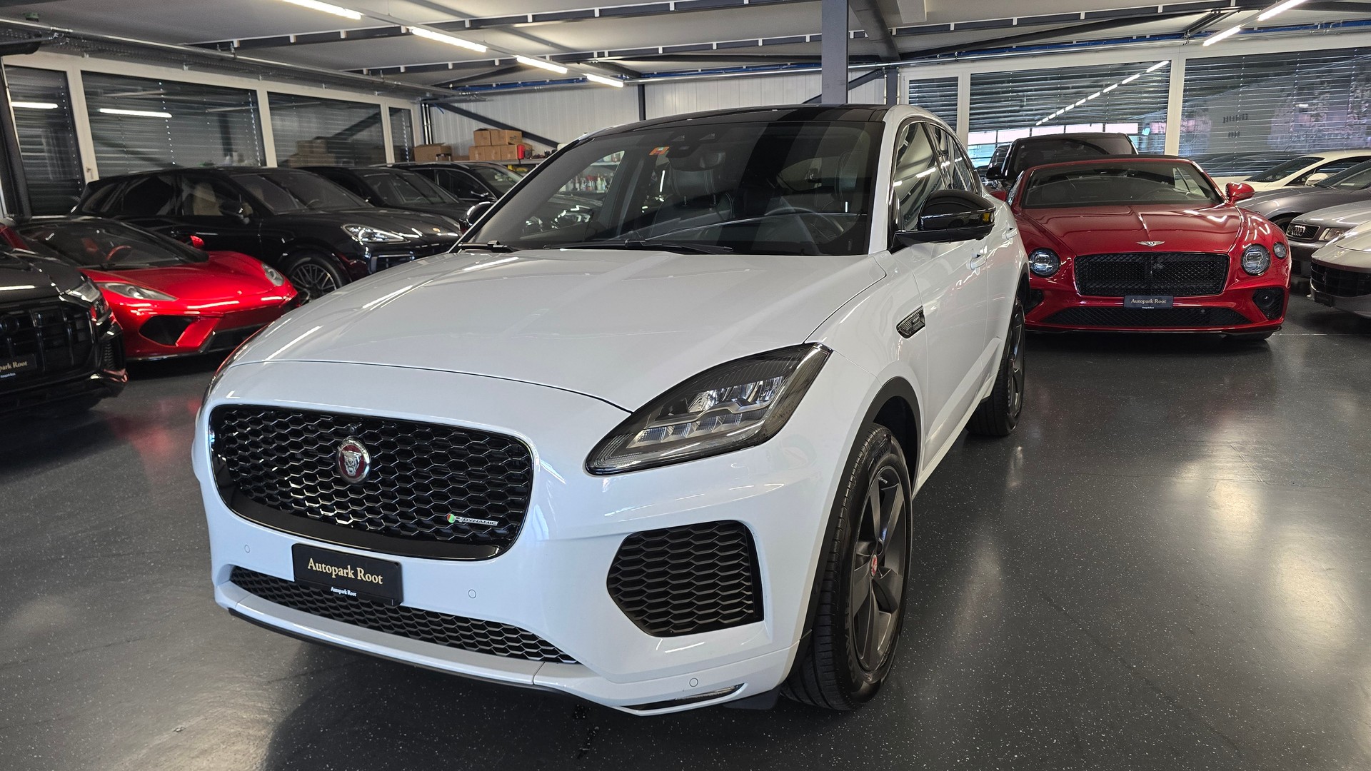 JAGUAR E-Pace 2.0 P250 R Dynamic SE AWD Automatik-image-10