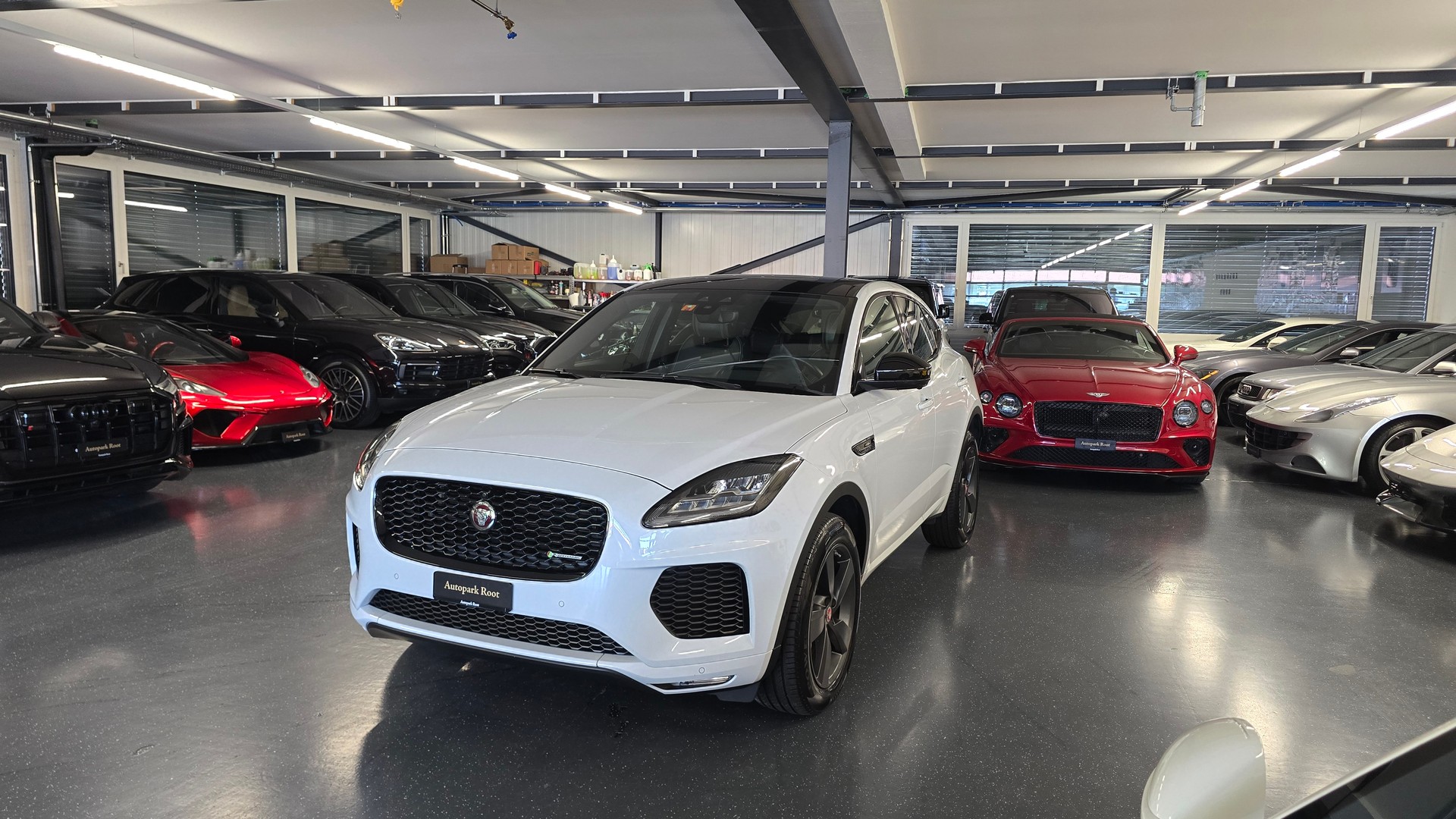 JAGUAR E-Pace 2.0 P250 R Dynamic SE AWD Automatik-image-12