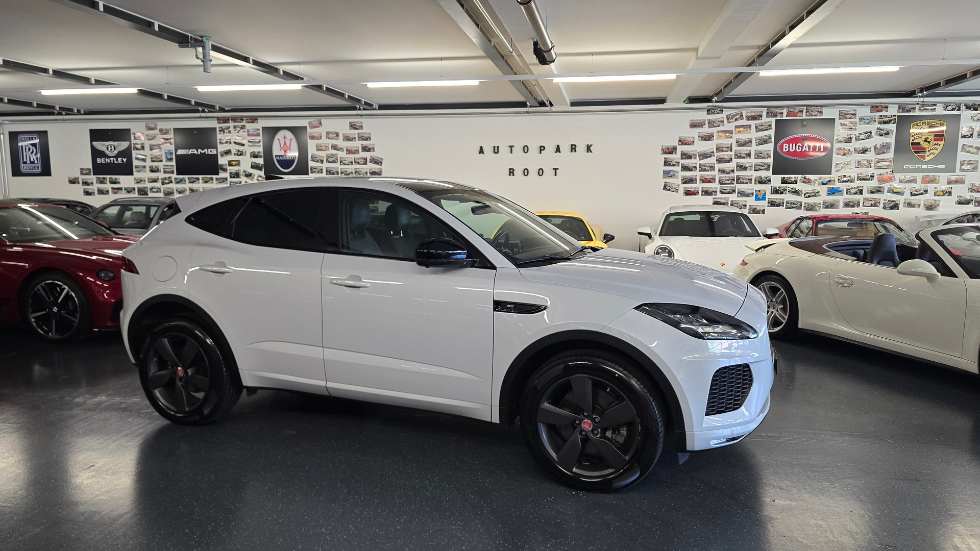 JAGUAR E-Pace 2.0 P250 R Dynamic SE AWD Automatik-image-2
