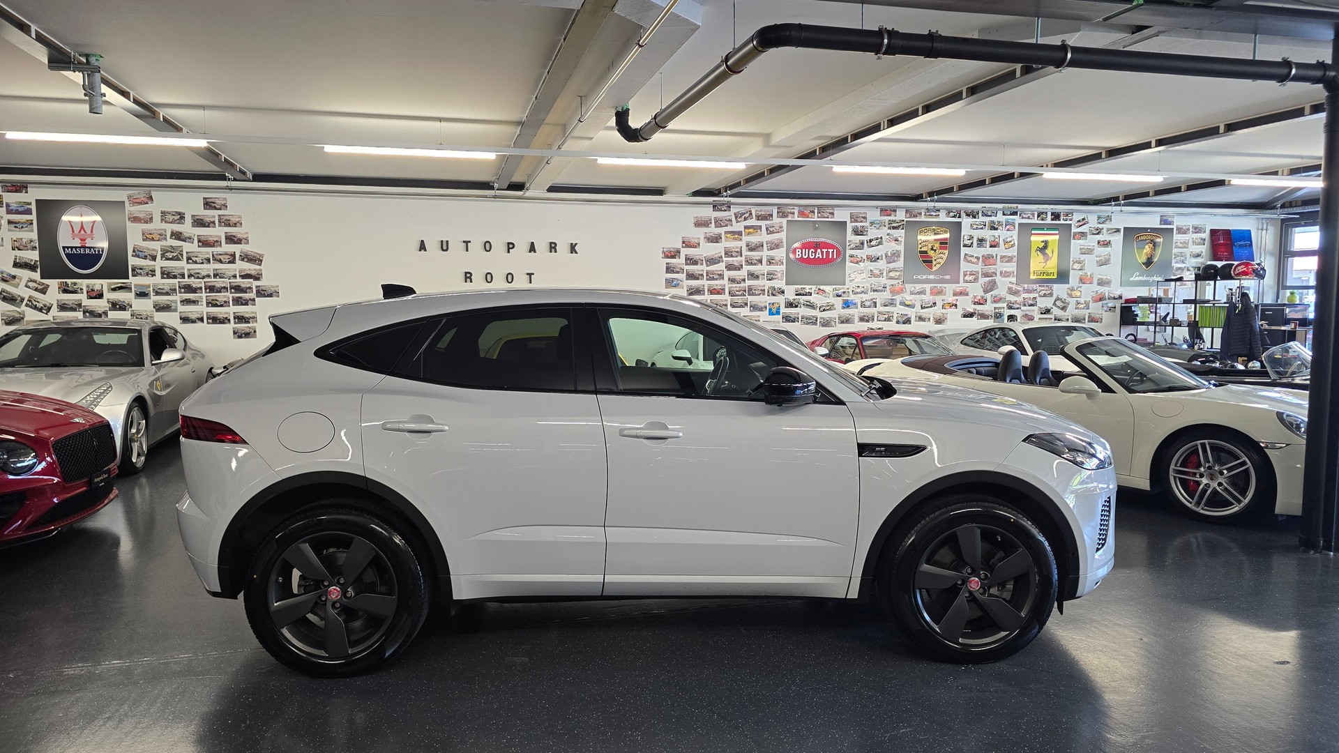 JAGUAR E-Pace 2.0 P250 R Dynamic SE AWD Automatik-image-3