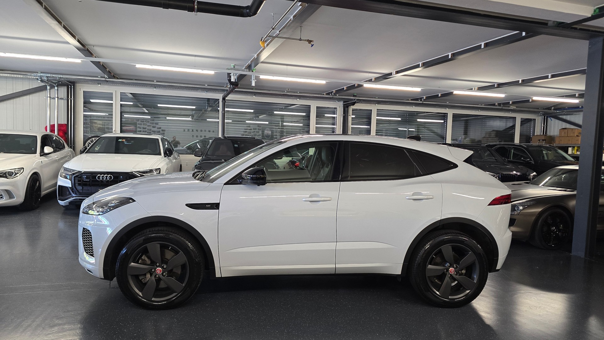 JAGUAR E-Pace 2.0 P250 R Dynamic SE AWD Automatik-image-8