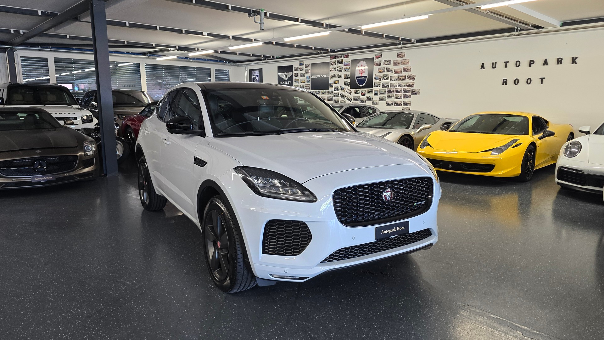 JAGUAR E-Pace 2.0 P250 R Dynamic SE AWD Automatik-image-1