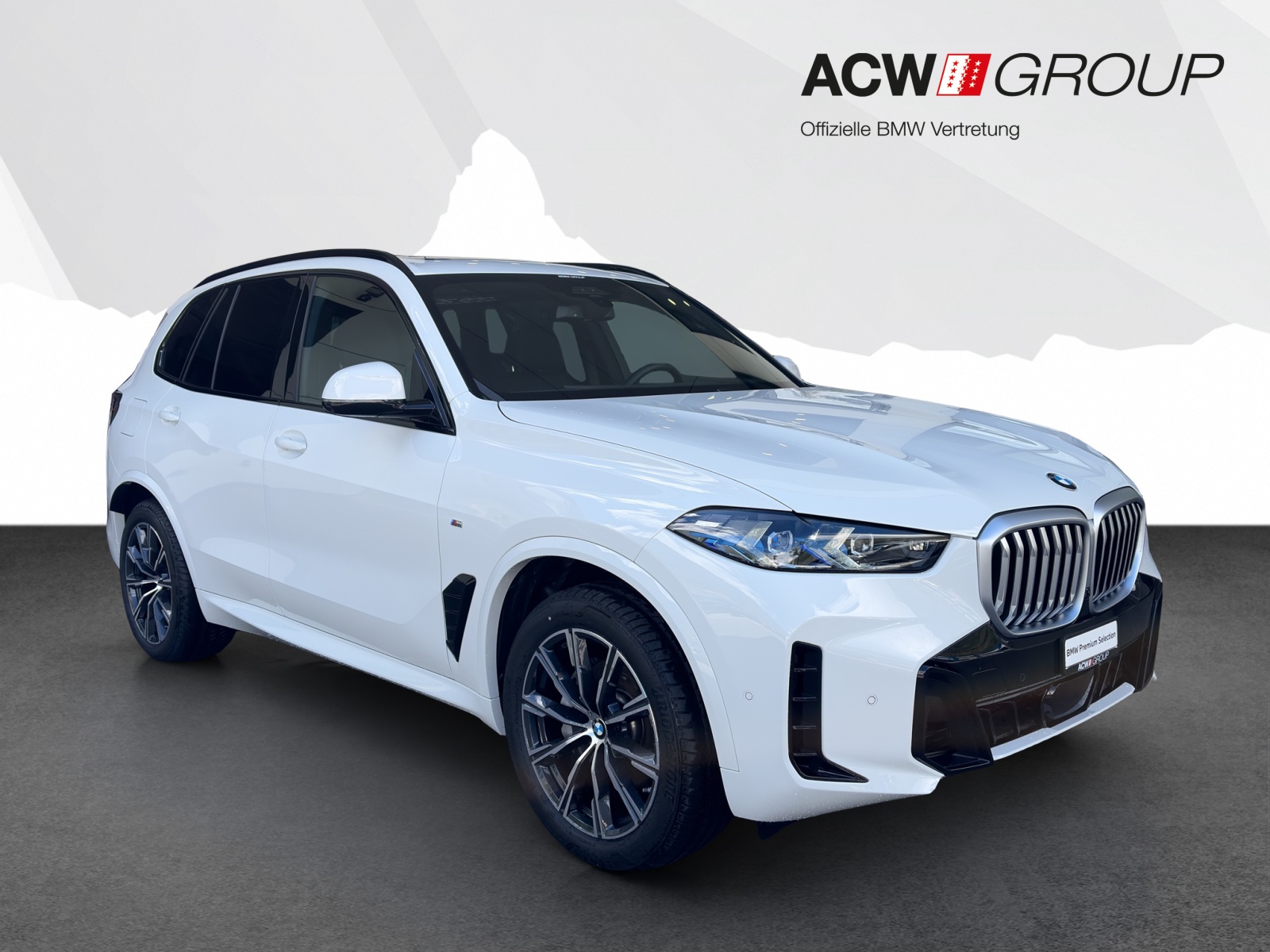 BMW X5 30d xDrive-image-6