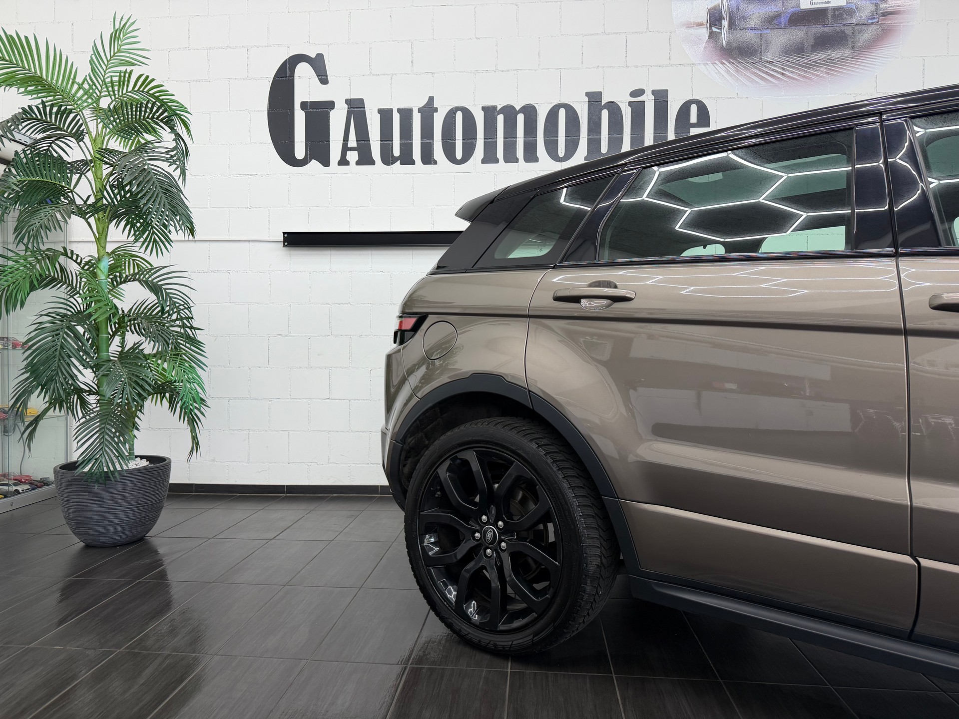 LAND ROVER Range Rover Evoque 2.2 TD4 Dynamic AT9⭐️-showroom-element-3