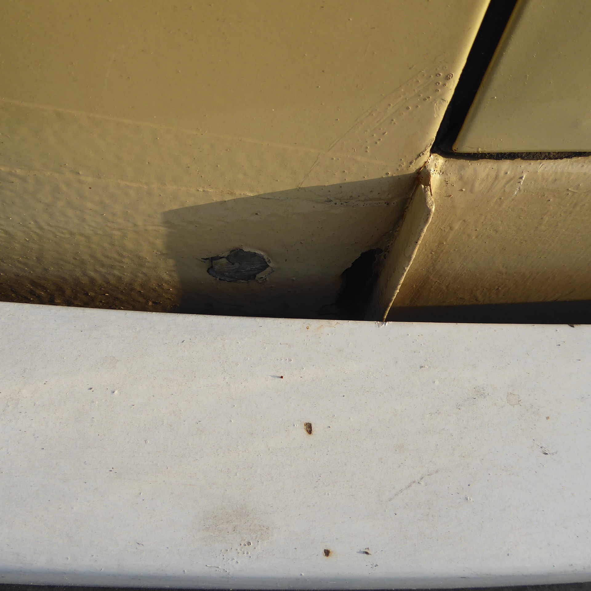 VW 22-image-12