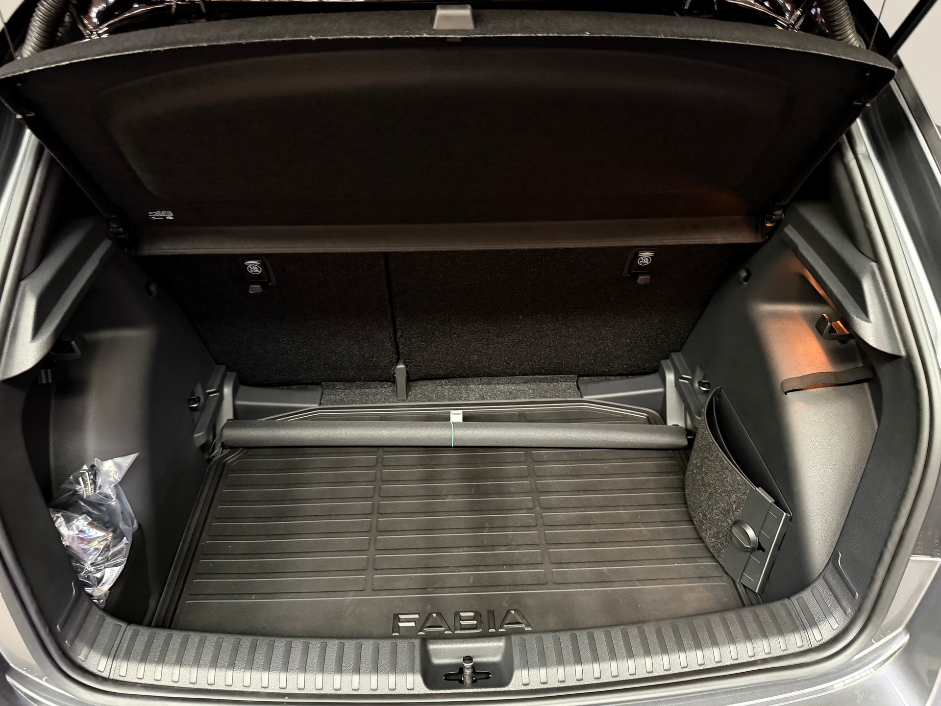 SKODA Fabia 1.0 TSI Monte Carlo DSG-image-10