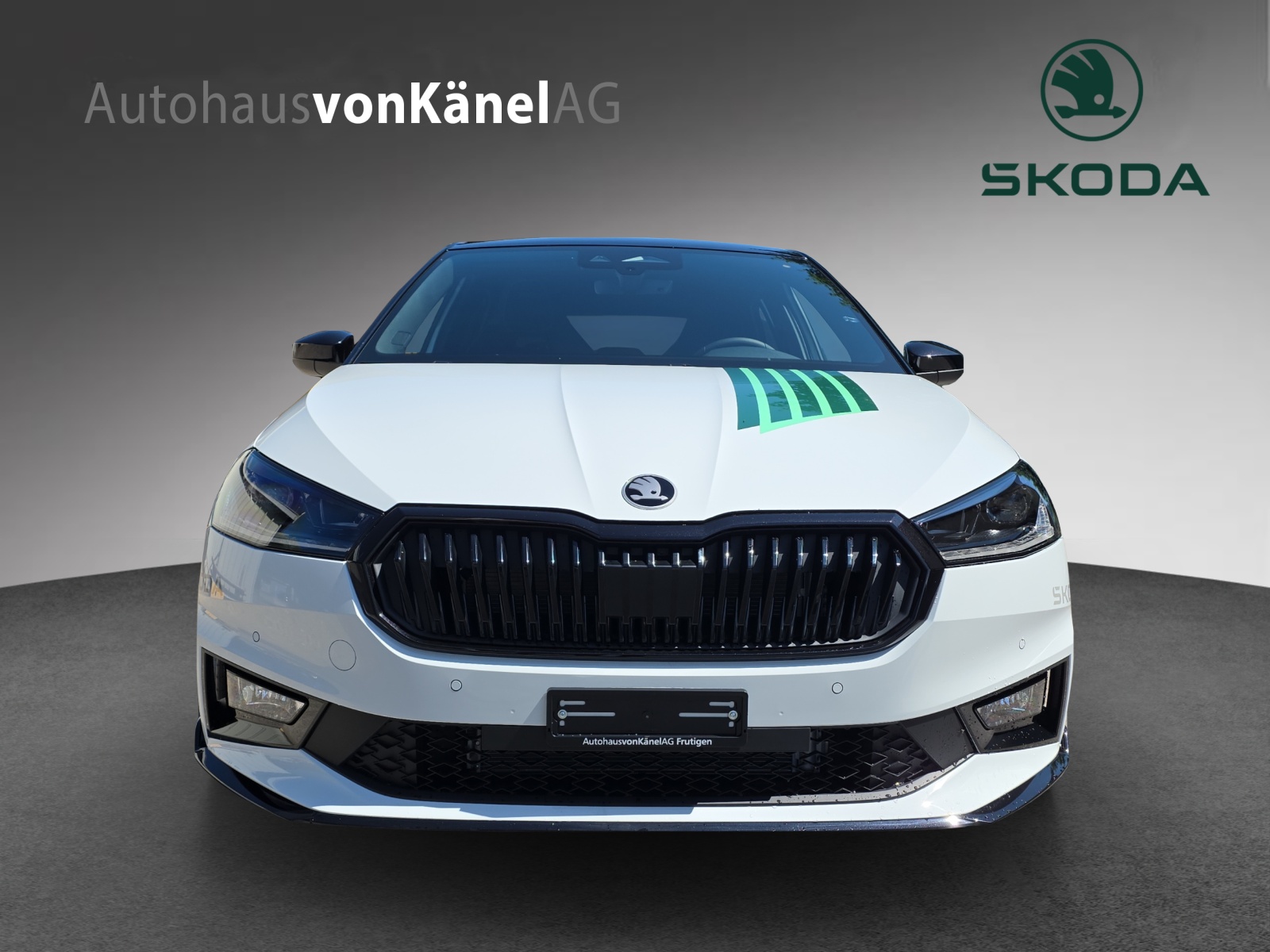 SKODA Fabia 1.5 TSI Motorsport DSG-image-3
