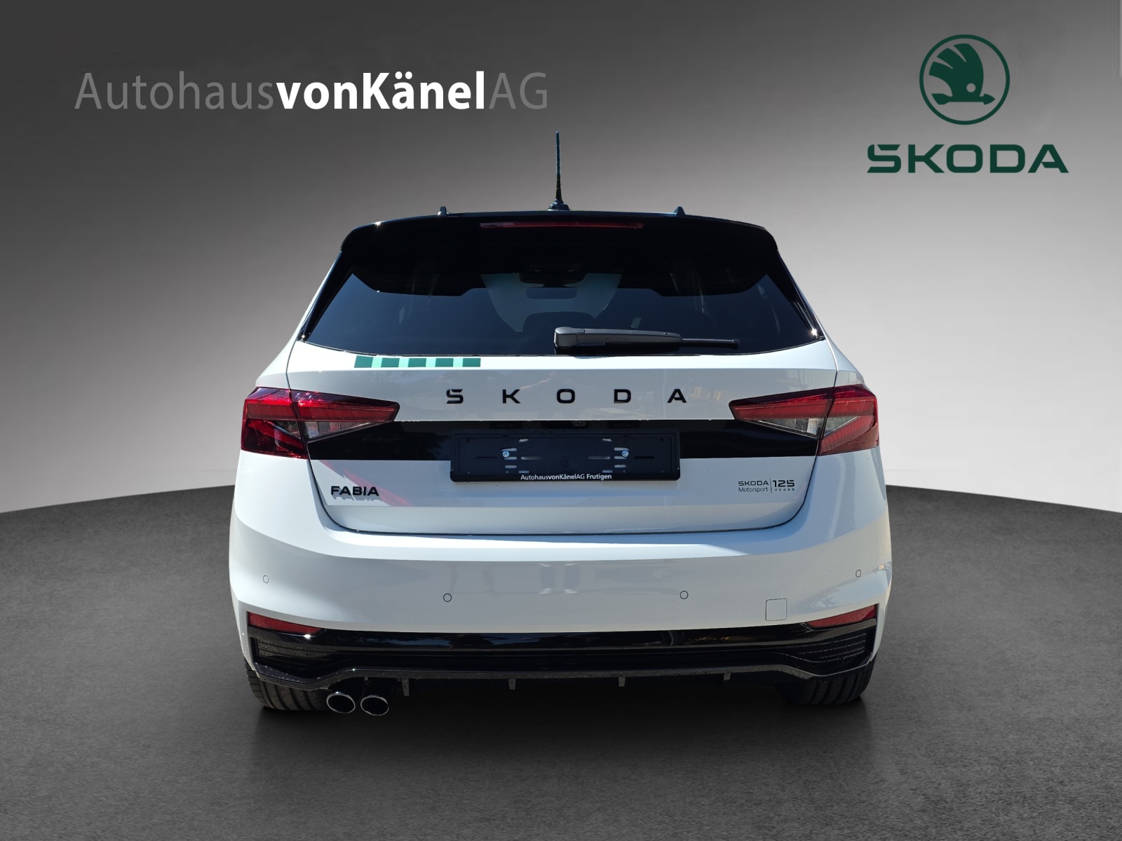 SKODA Fabia 1.5 TSI Motorsport DSG-image-4
