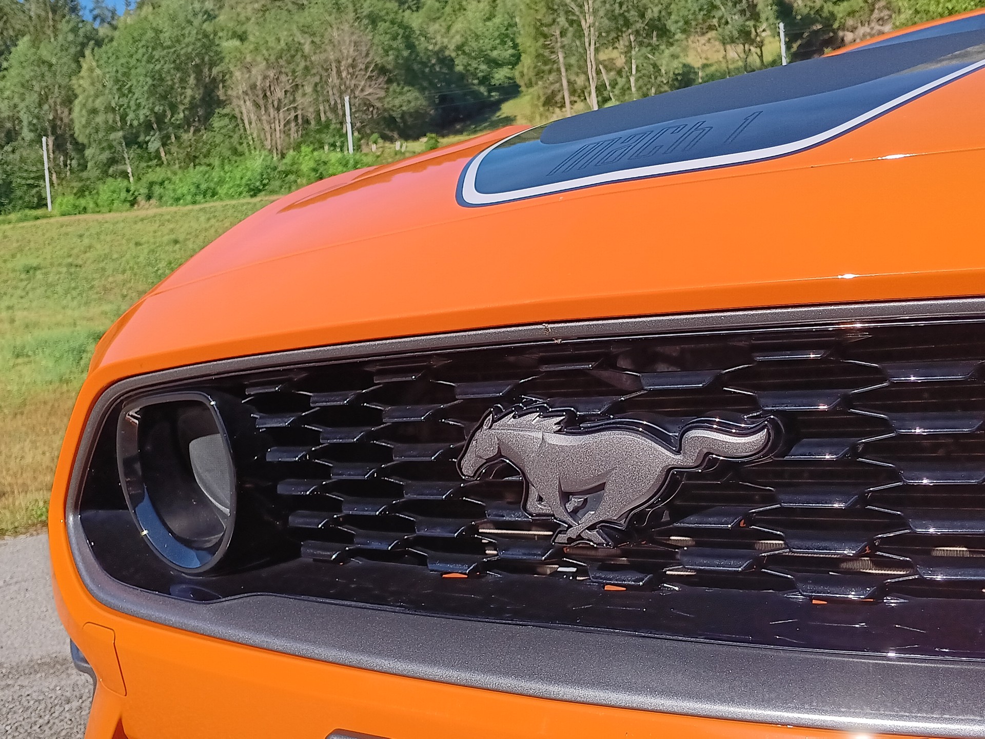FORD Mustang Fastback 5.0 V8 Mach 1 Automat-image-5