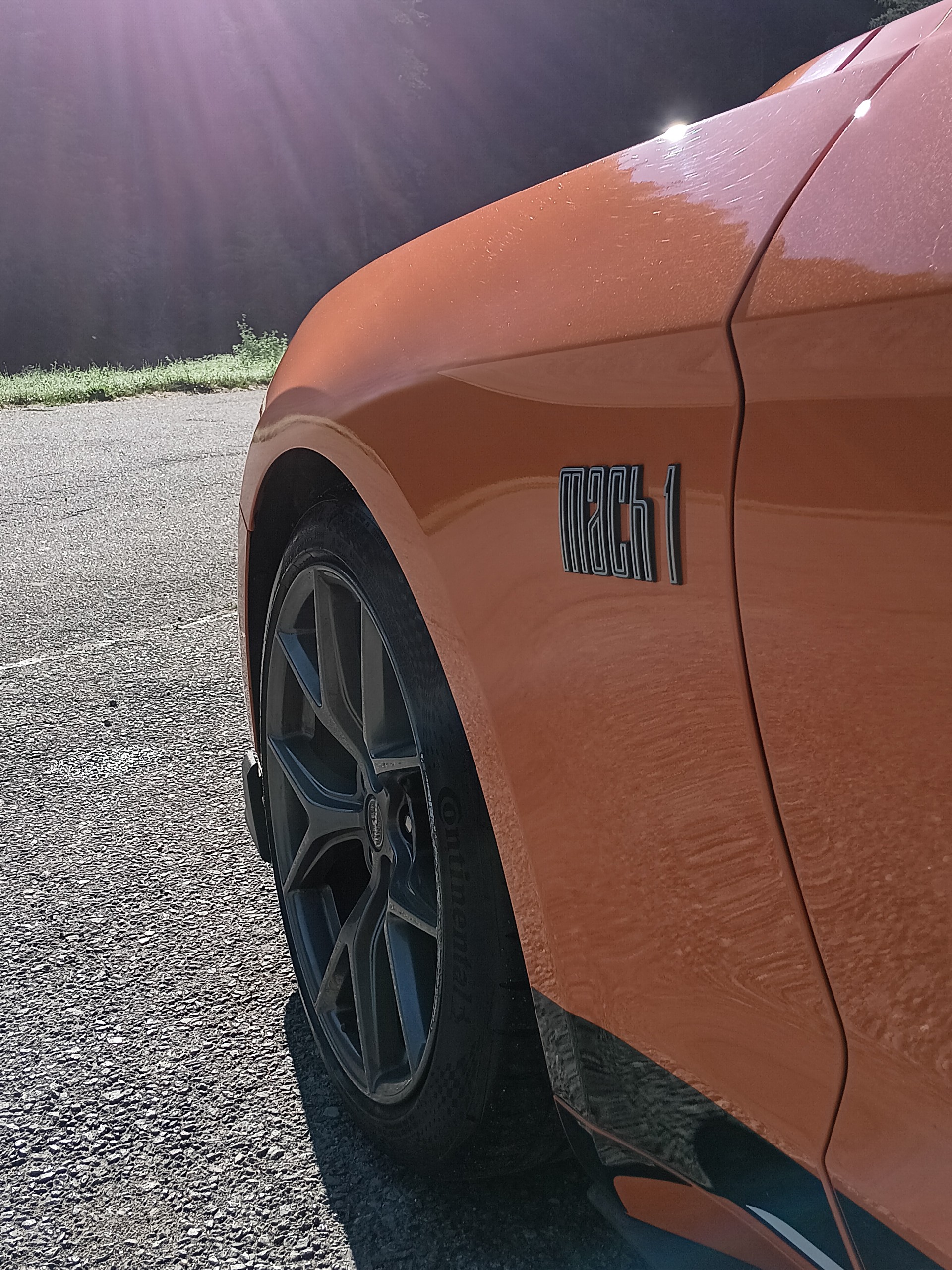 FORD Mustang Fastback 5.0 V8 Mach 1 Automat-image-7