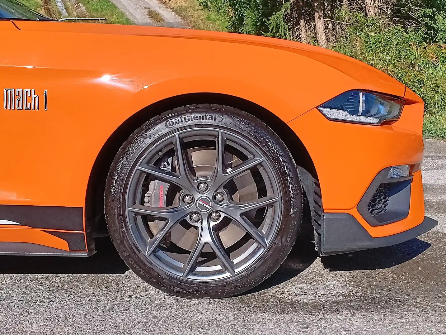 FORD Mustang Fastback 5.0 V8 Mach 1 Automat-image-17